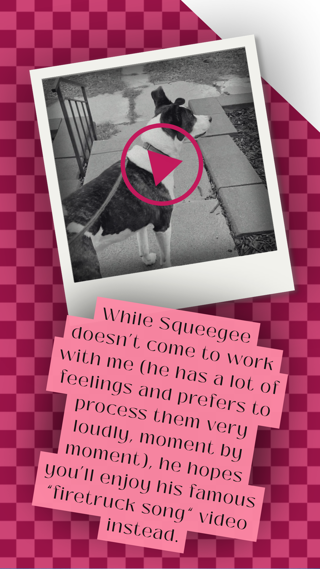 A black and white photo of a dog on a leash, sitting on a concrete sidewalk near some bricks and patches of grass, with a pink play button overlay. There is a pink checkered background with pink note cards at the bottom containing text about the dog's feelings.