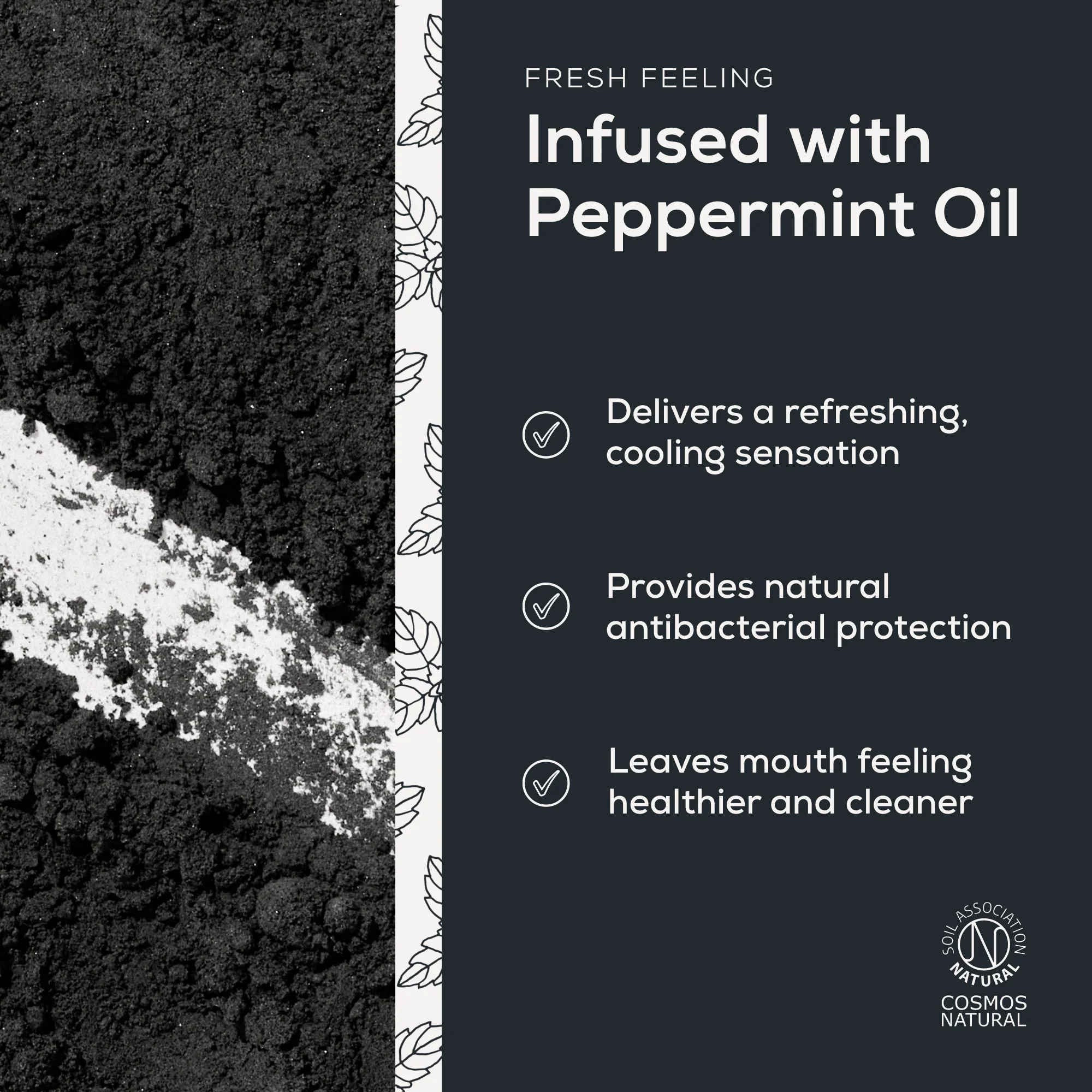 Georganics_Mineral_Toothpaste_Powder_-_Charcoal_04.jpg