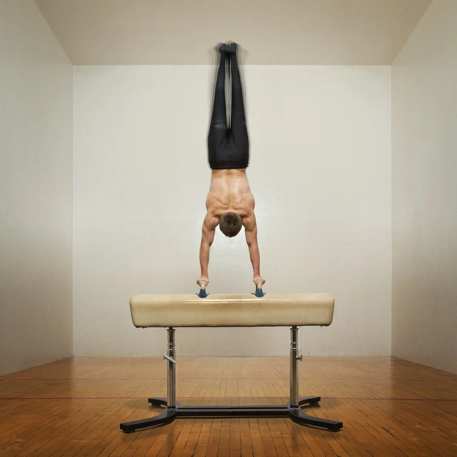Pommel_1_088_v2_web.jpeg