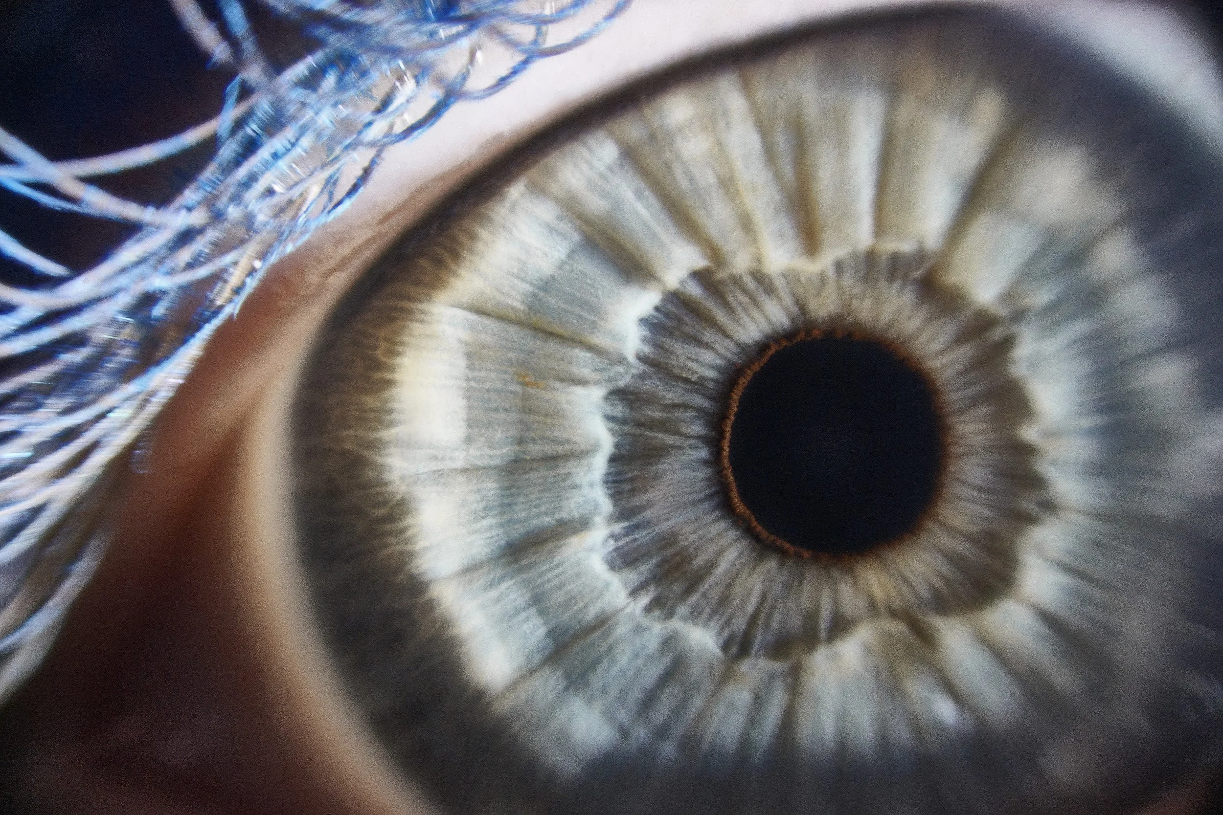 Tyler_Eye_BTA0965_R1_29.jpg