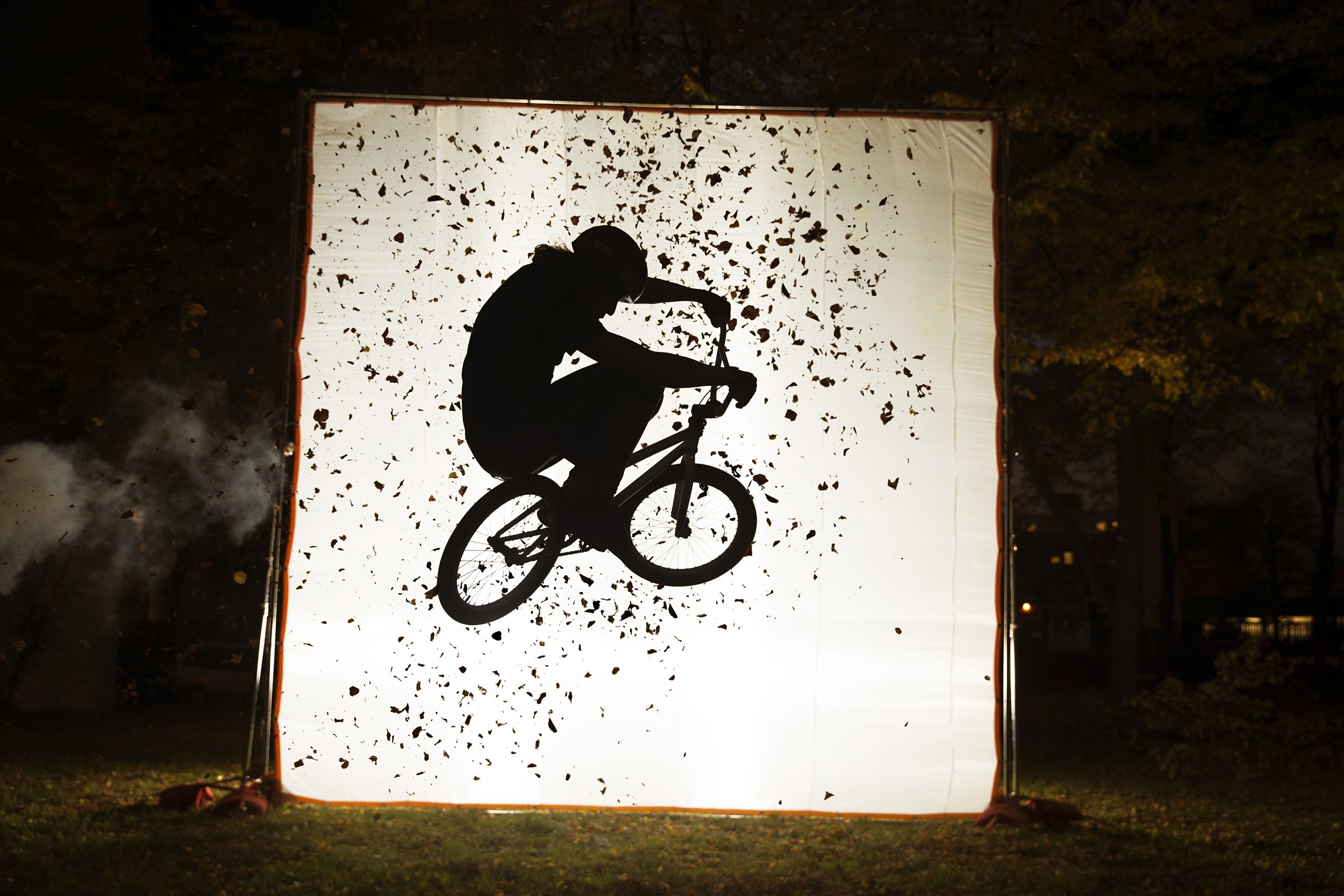 13216_BMX_O1Q1711_Prnt_web.jpeg