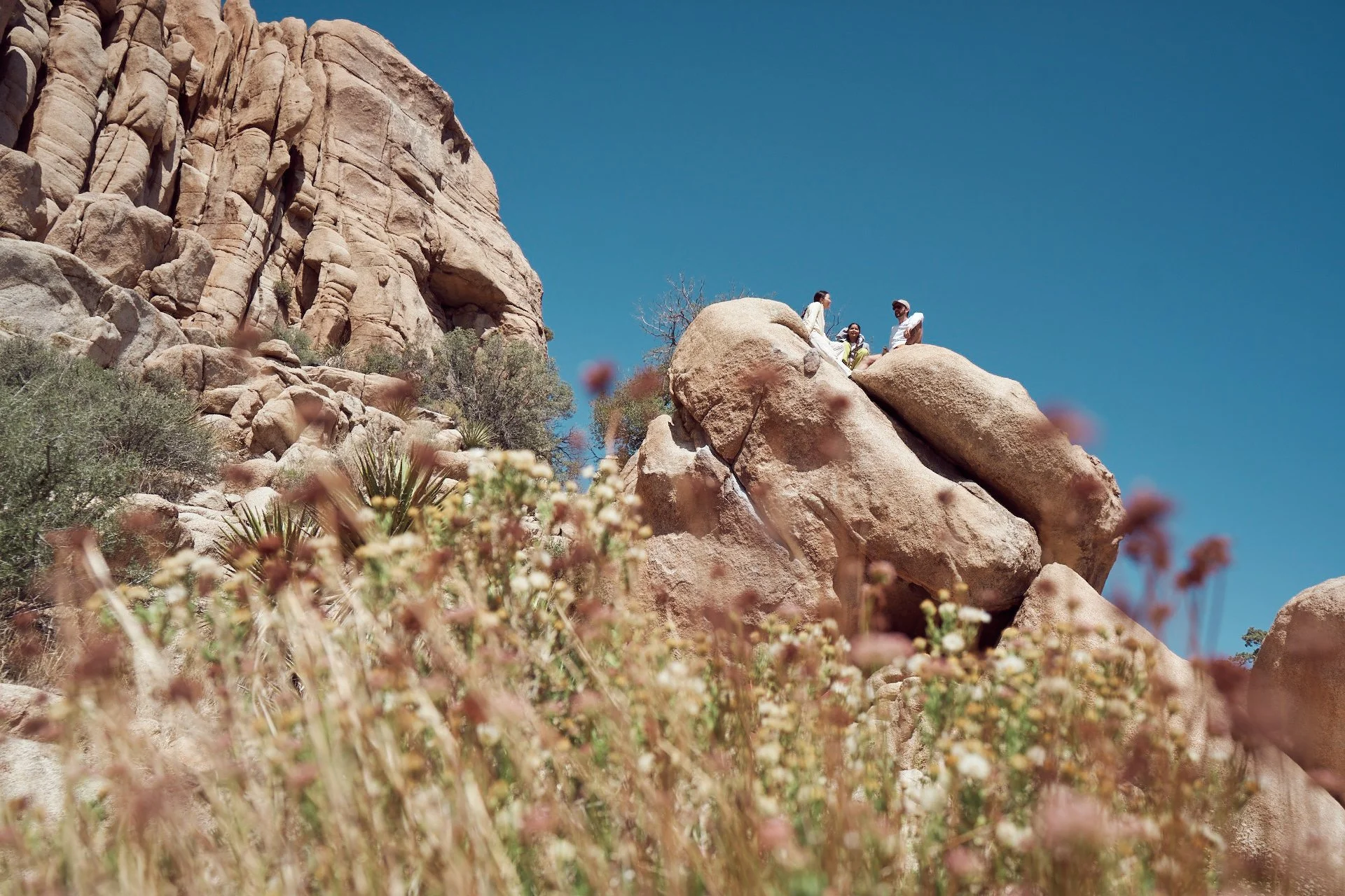 Joshua_Tree_Bouldering_1000.jpg