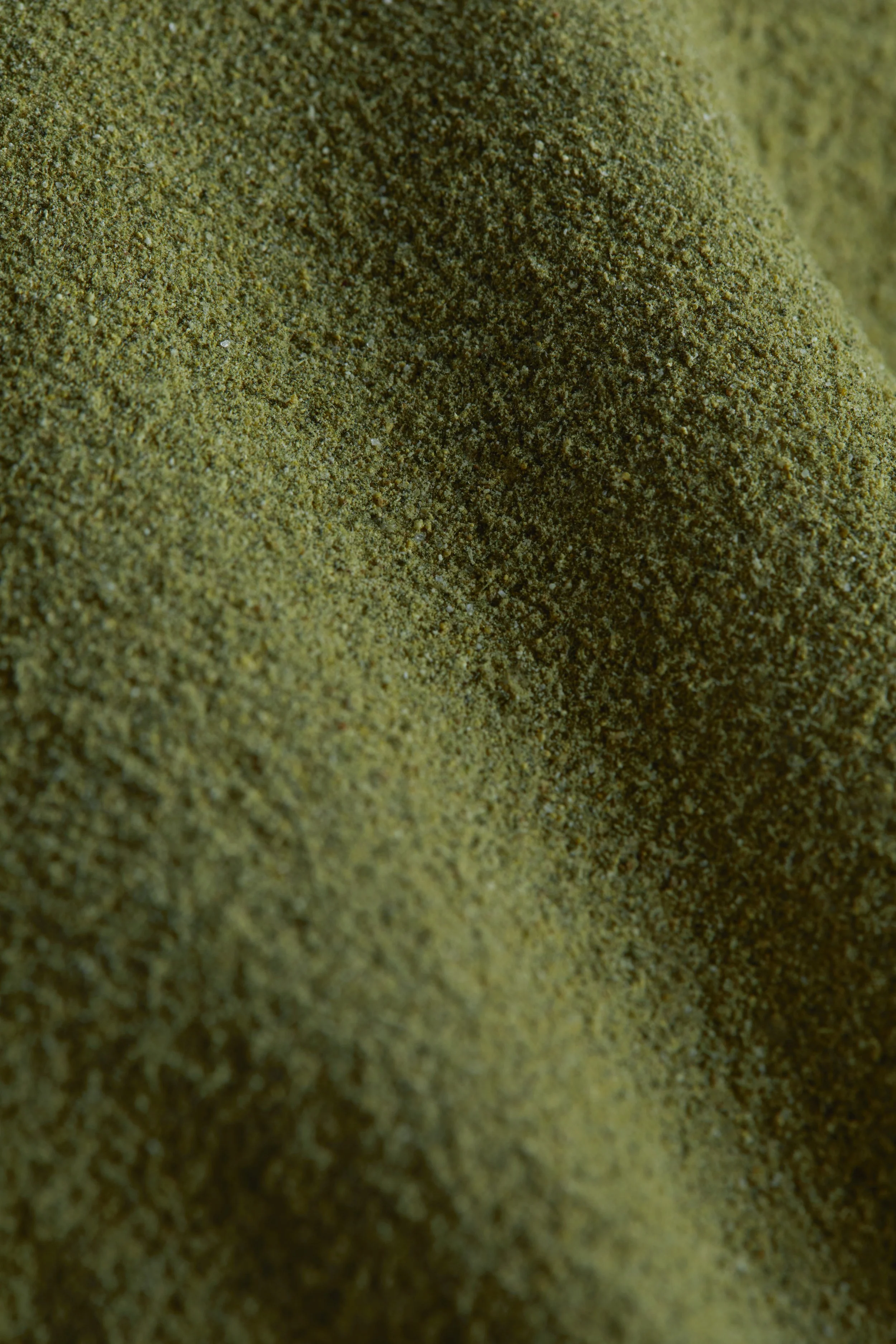 AG1_365ProductSwanson_Sept23_Essence_1480.jpg