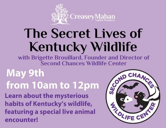 The Secret Lives of Kentucky Wildlife