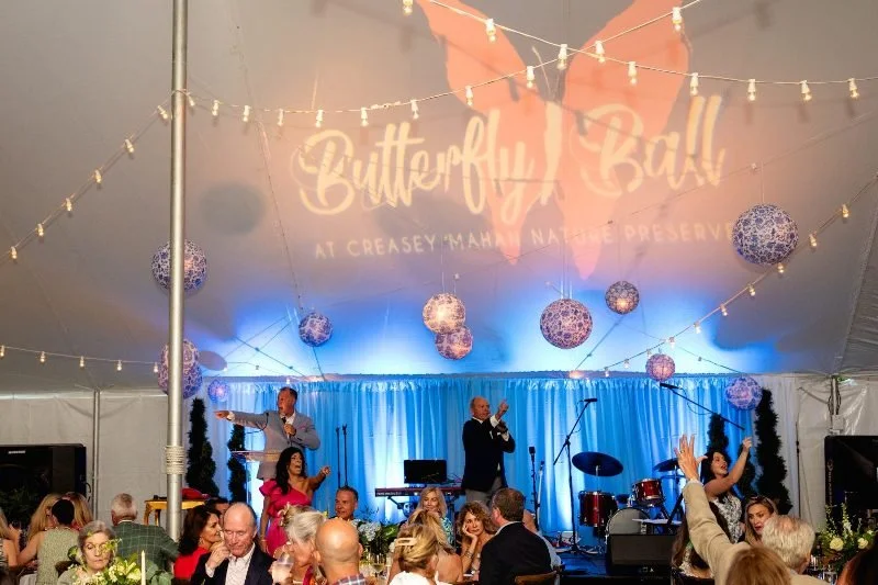 Butterfly Ball