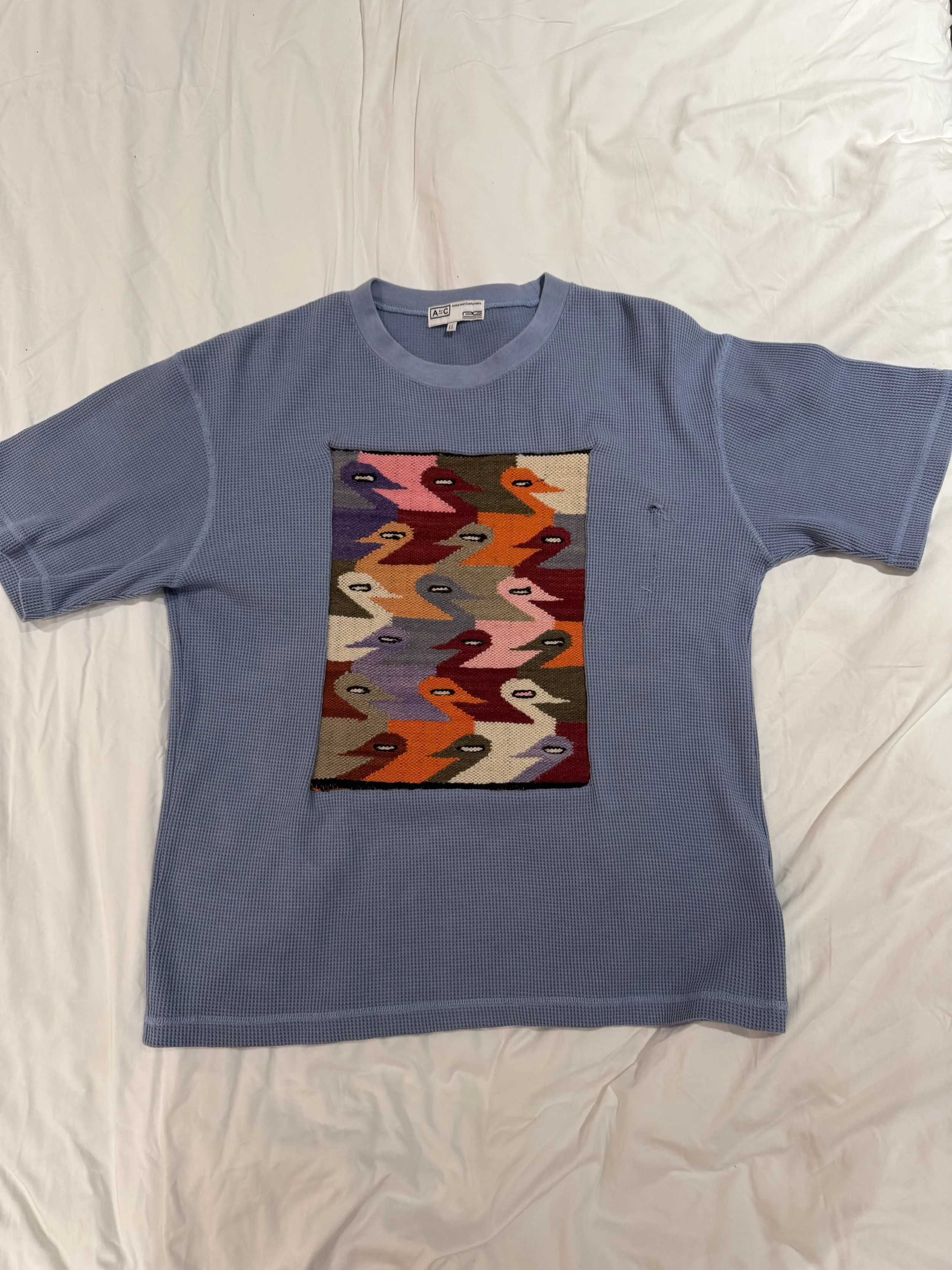 Waldo the Duck
