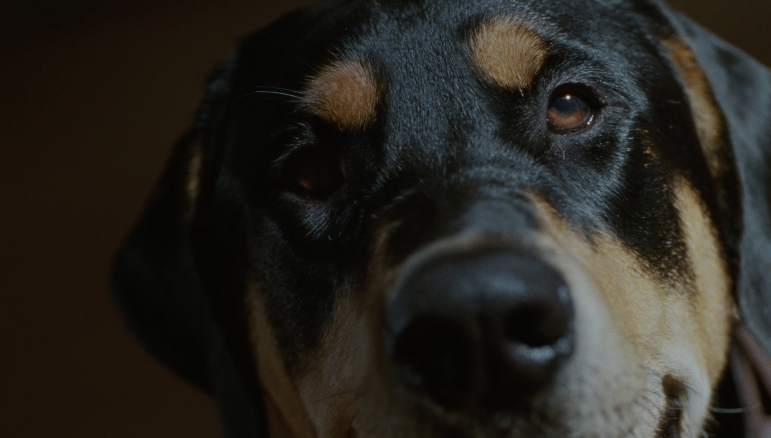 Screenshot 2026-03-04 at 1.47.54 PM.png