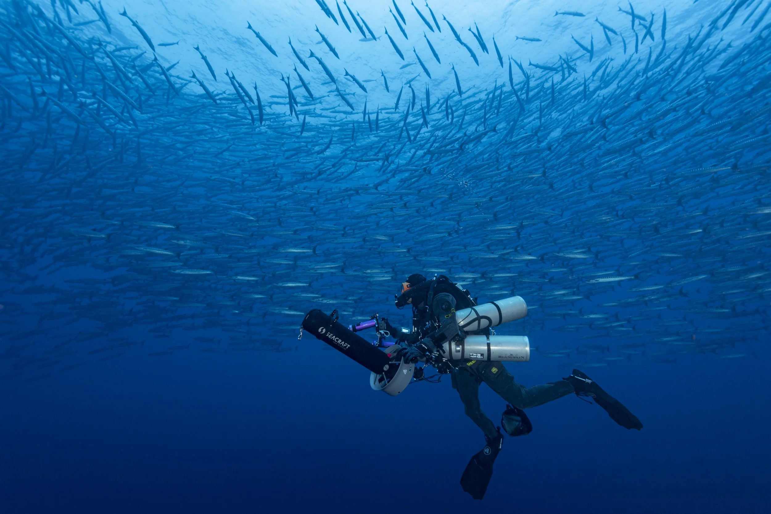 Taucher mit Unterwasser-Scooter schwimmt durch einen riesigen Fischschwarm im tiefblauen Meer.