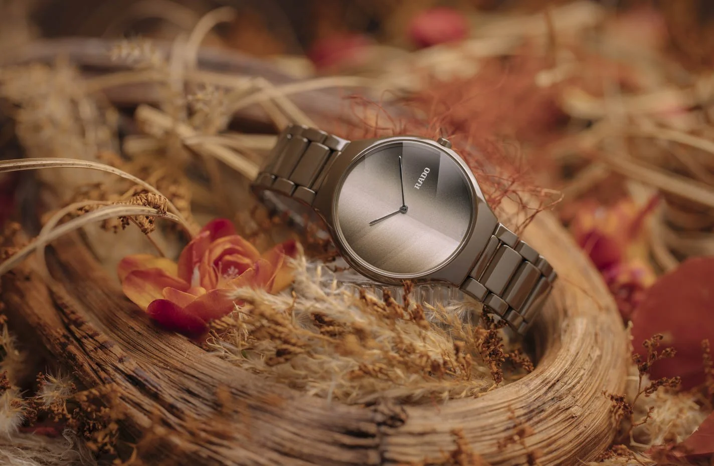 Elegante Rado-Armbanduhr mit Metallarmband auf getrockneten Blumen und Naturmaterialien