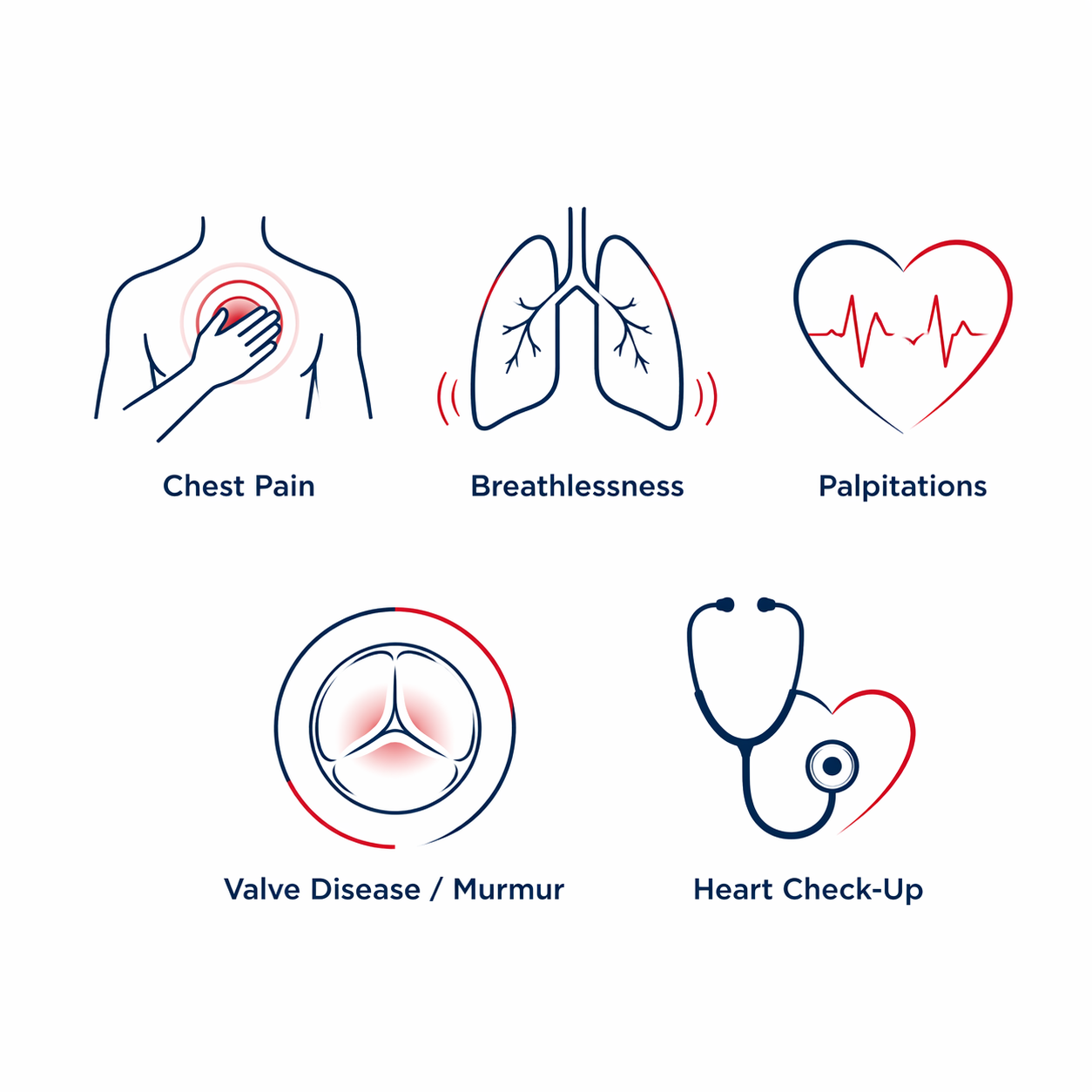 Icons representing symptoms and issues related to heart health, including chest pain, breathlessness, palpitations, valve disease or murmur, and a heart check-up, arranged in two rows with labels.