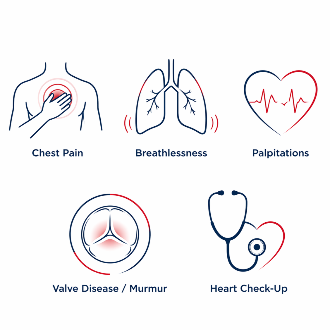 Medical infographic displaying symptoms and signs of heart issues: chest pain, breathlessness, palpitations, valve disease or murmur, and heart check-up.
