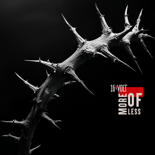 Close-up of a thorny branch with sharp thorns against a black background, with text that reads "16 Volt More or Less".