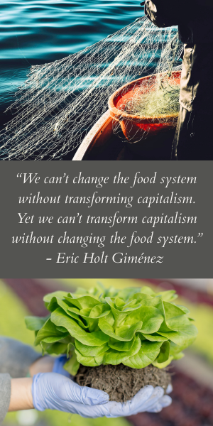 The Local Food Trust