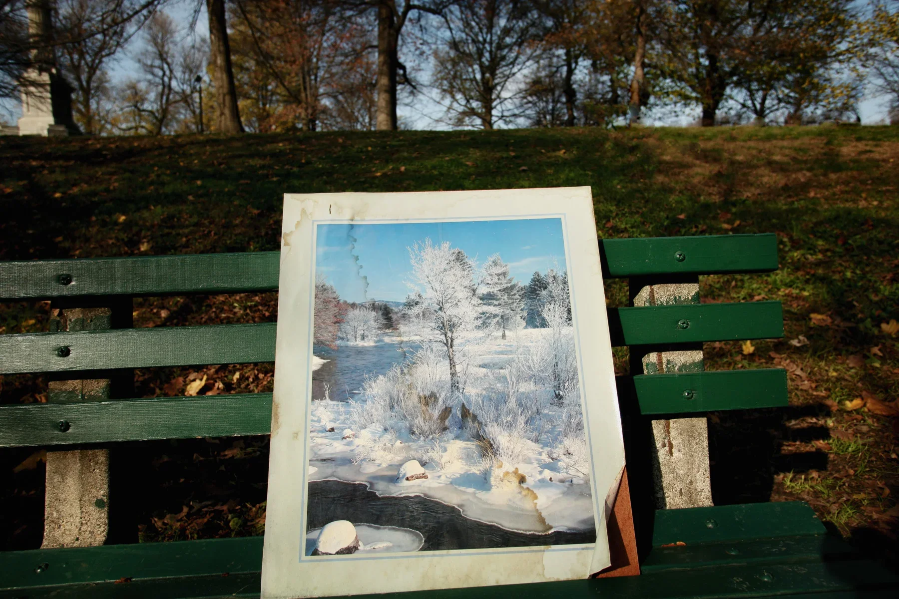 winter-painting-park-1.jpg.webp