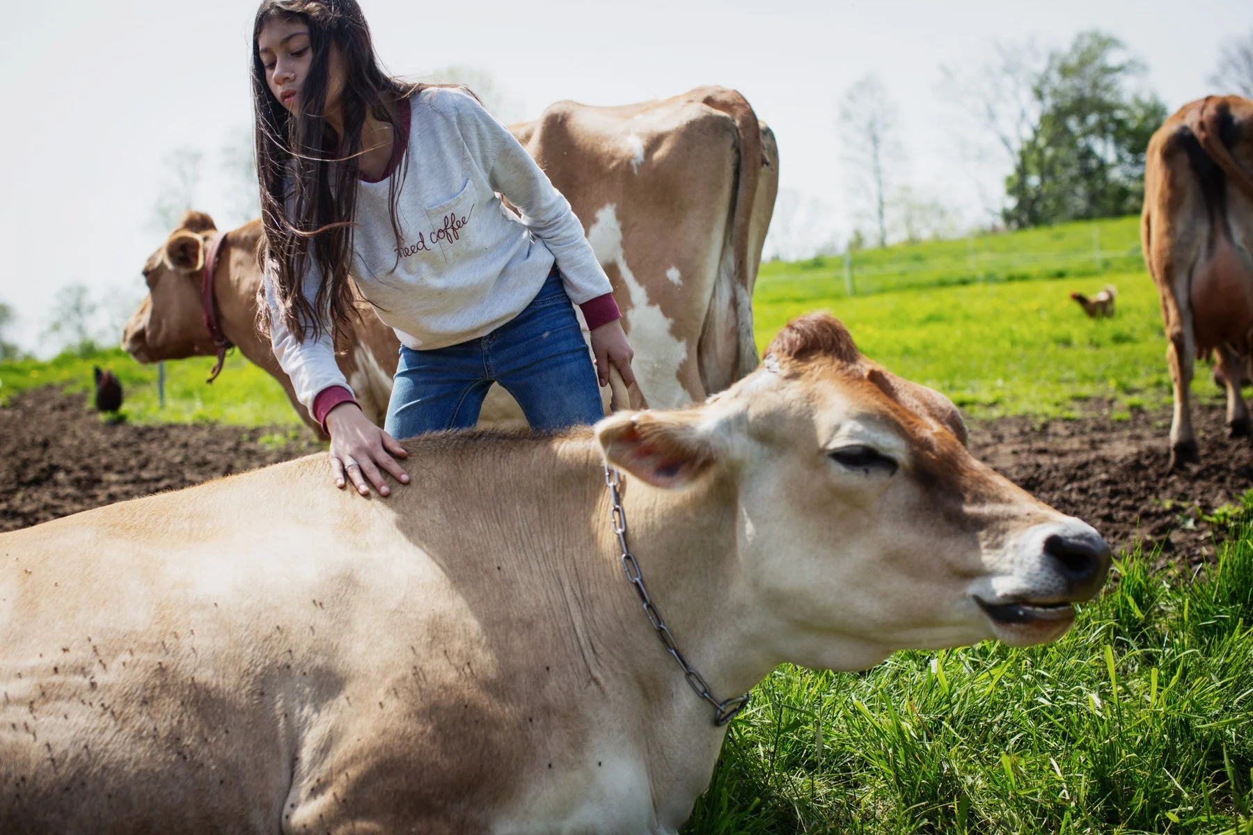girl-pet-cow.JPG