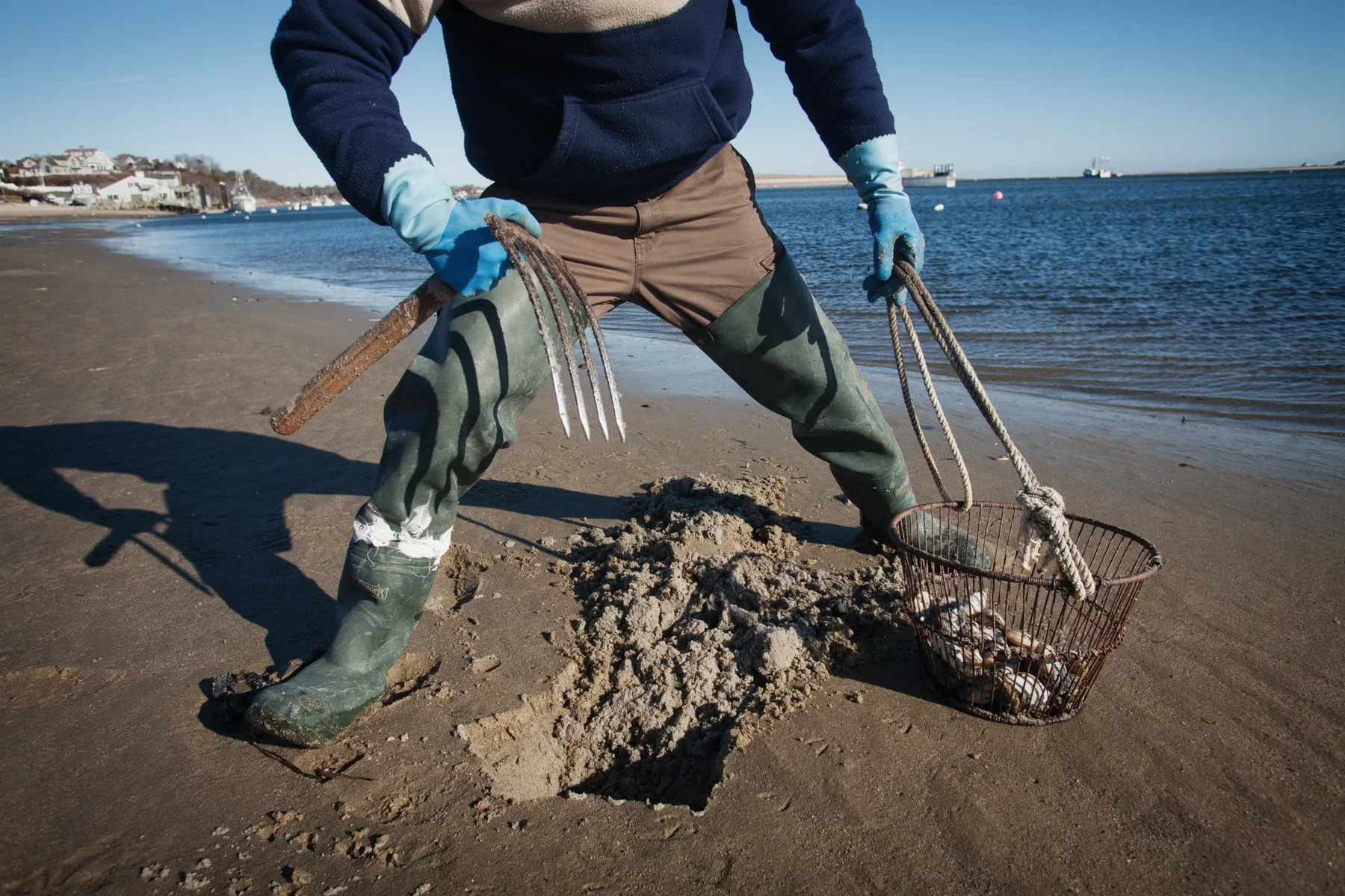clam-digging-1.jpg.webp
