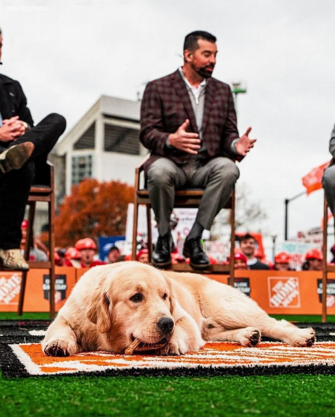 Happy International Dog Day to all our college football pups 🐾 

📸:
Peter: @collegegameday
Ben : Kevin Jairaj
Georgia: @georgiafootball
Washington: @uwathletics 
Tennessee: @vol_sports
Boise State: @boisestatebroncos
NC State: @packathletics
Texas 