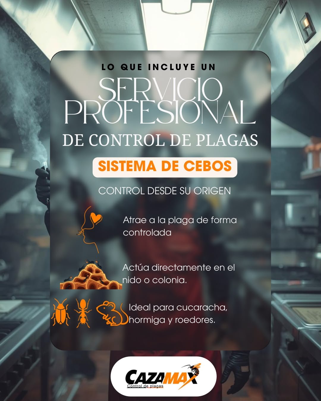 ¿Qué incluye un servicio profesional de control de plagas? Parte 2: Sistemas de cebos