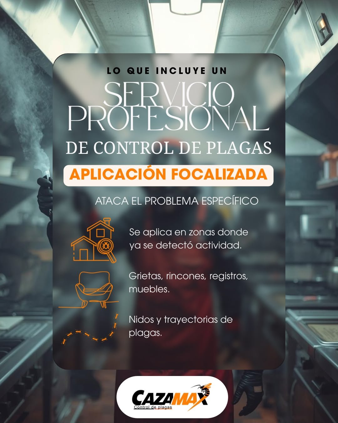 ¿Qué incluye un servicio profesional de control de plagas? Parte 3: Aplicación focalizada