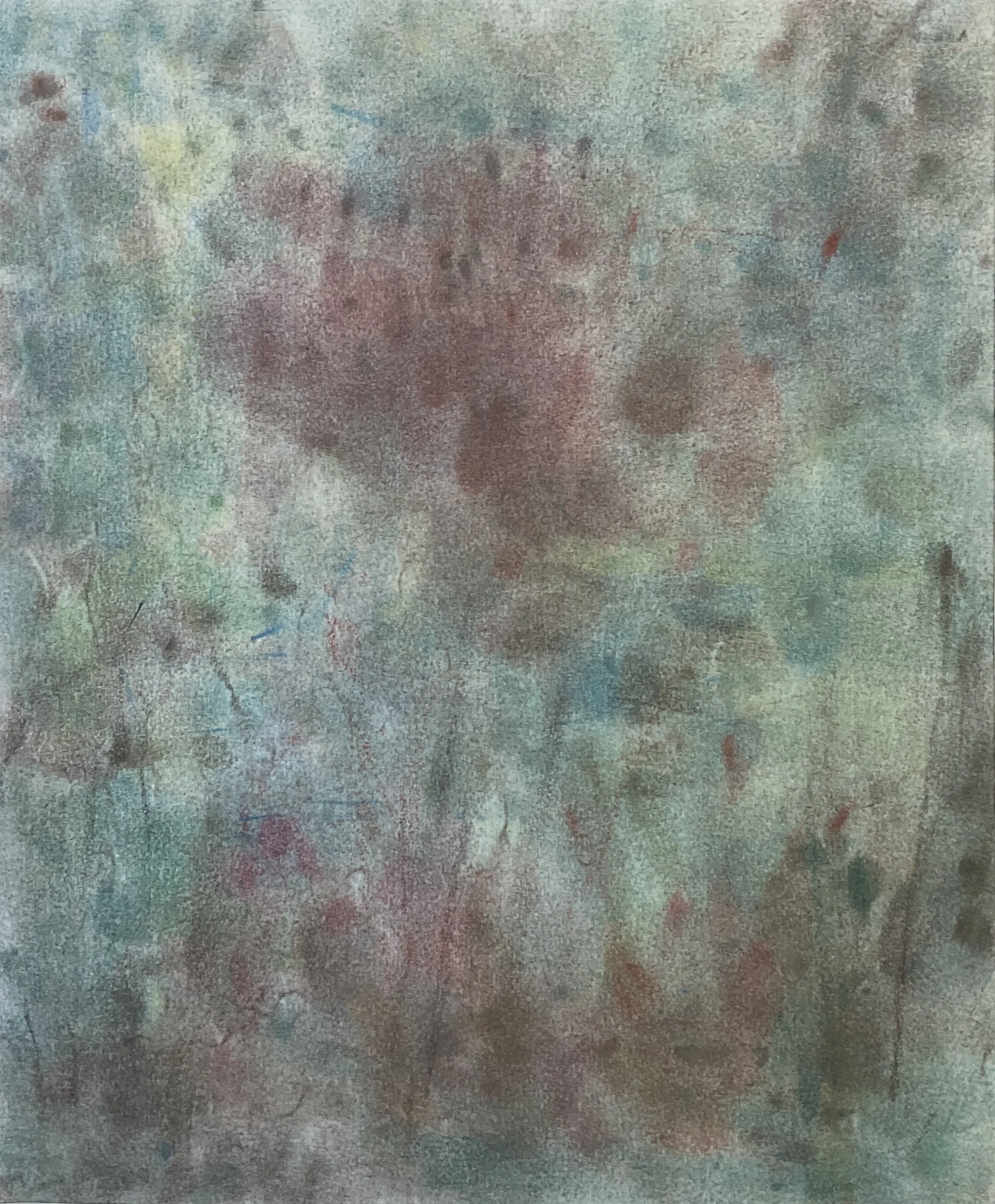  Flower II  
Soft pastels | 19" x 22"