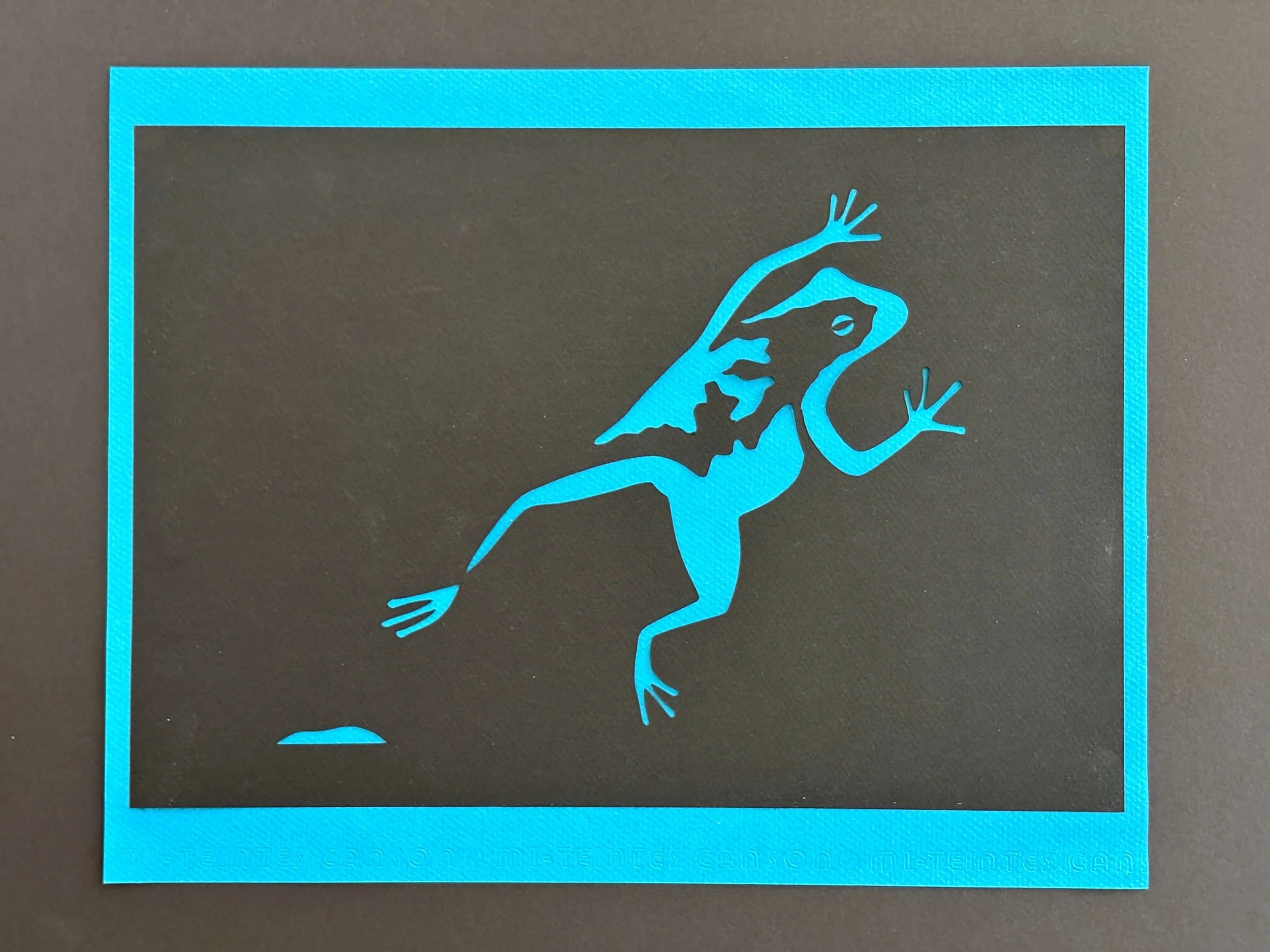  Frog  
Layered paper cuttings | 14" x 11"