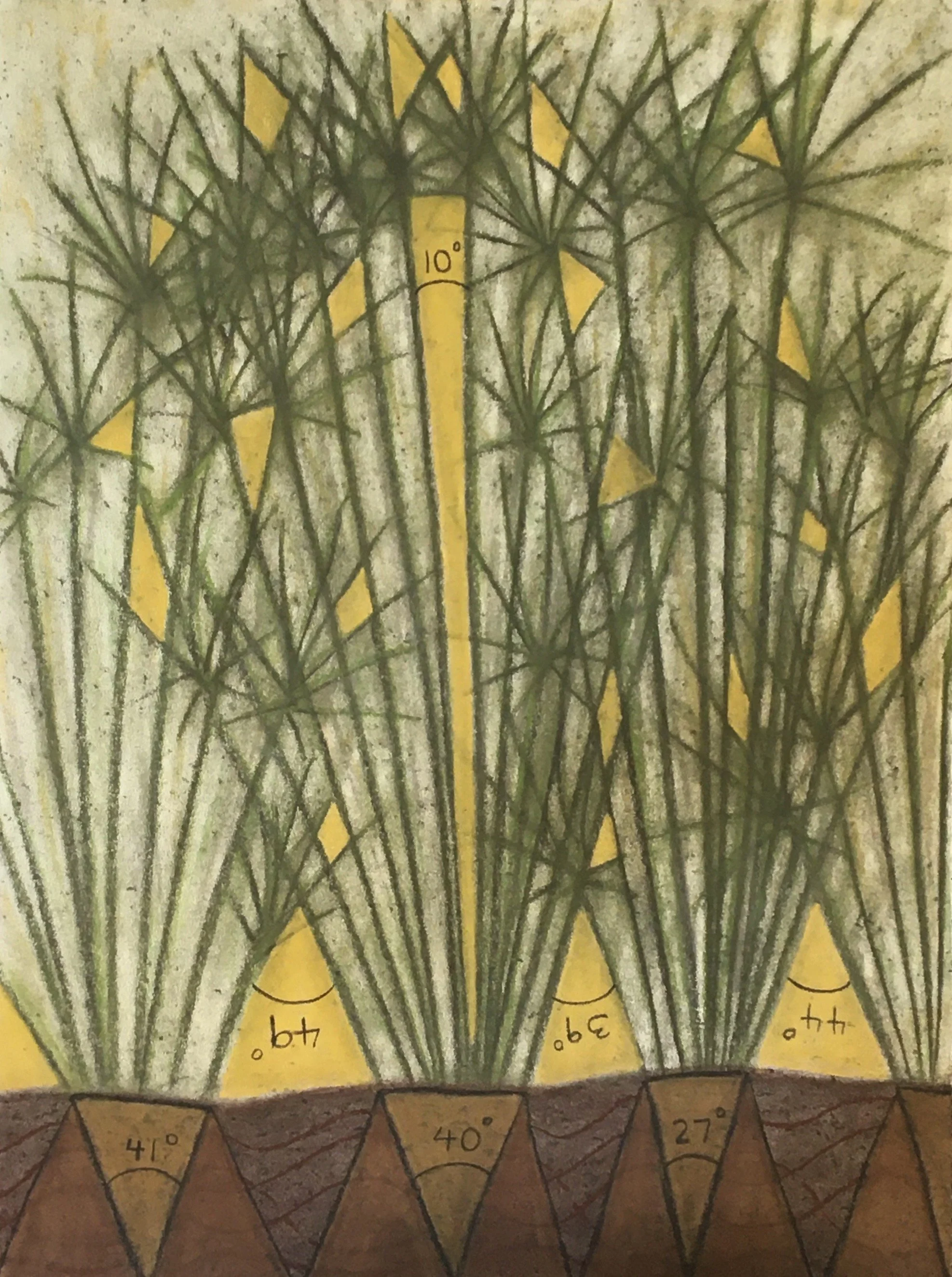  Papyrus  
Soft pastels, wax rubbing | 27" x 36"