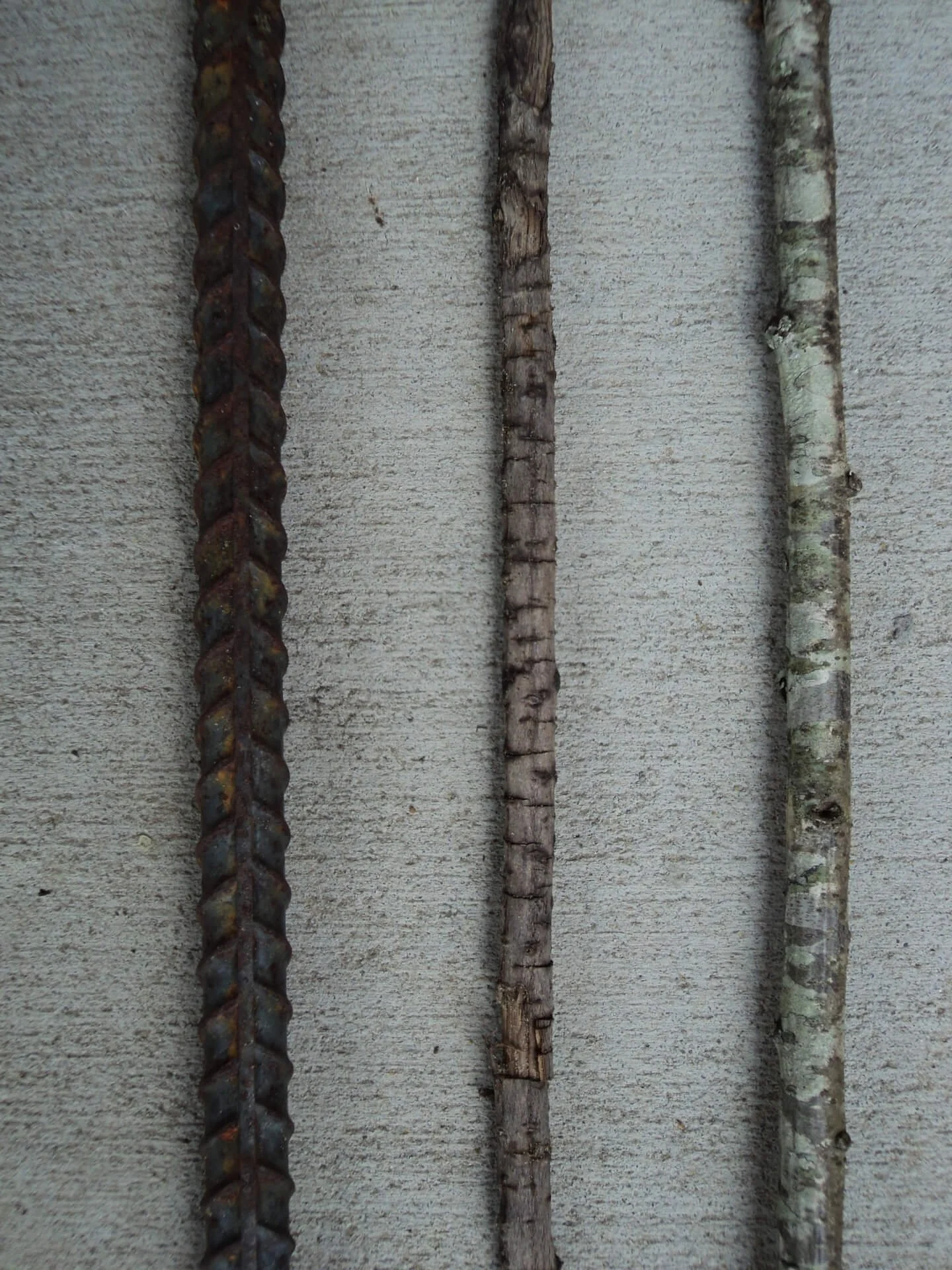  Aging  
Photograph | 18" x 24"