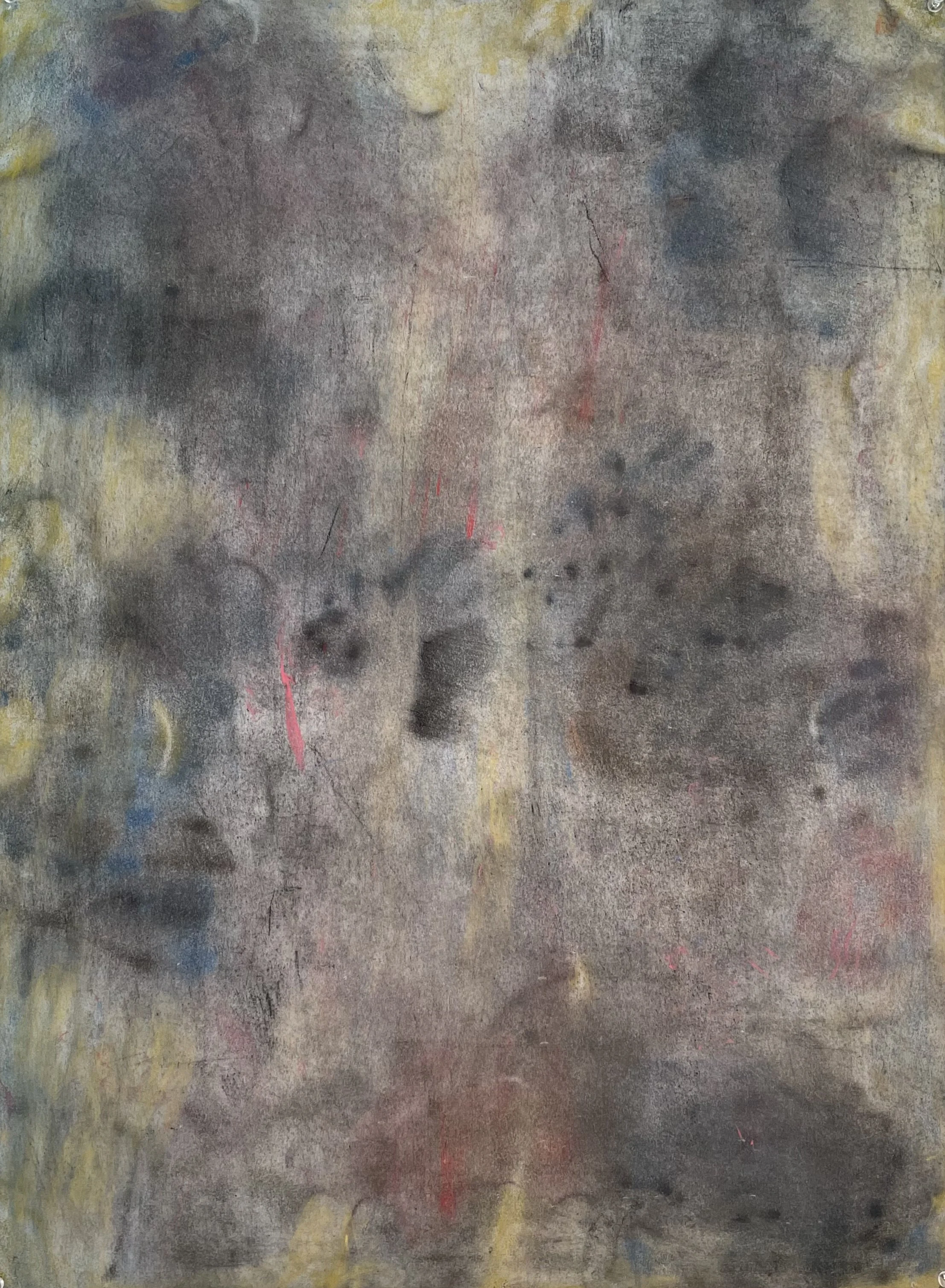  Smudge  
Soft pastels | 27" x 36"