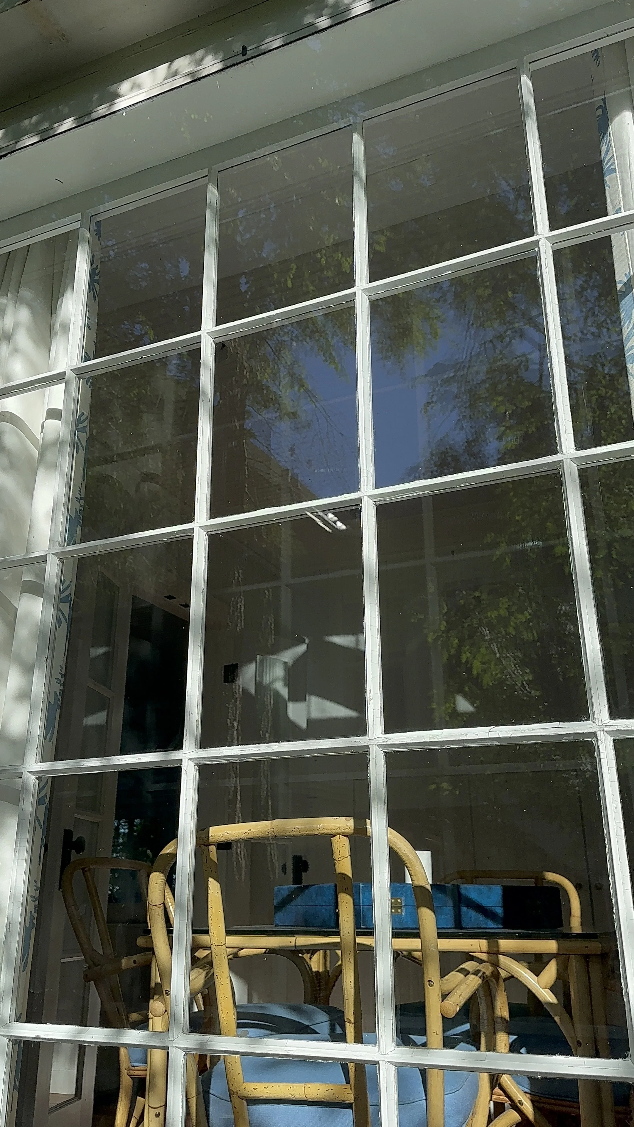 Window Cleaning