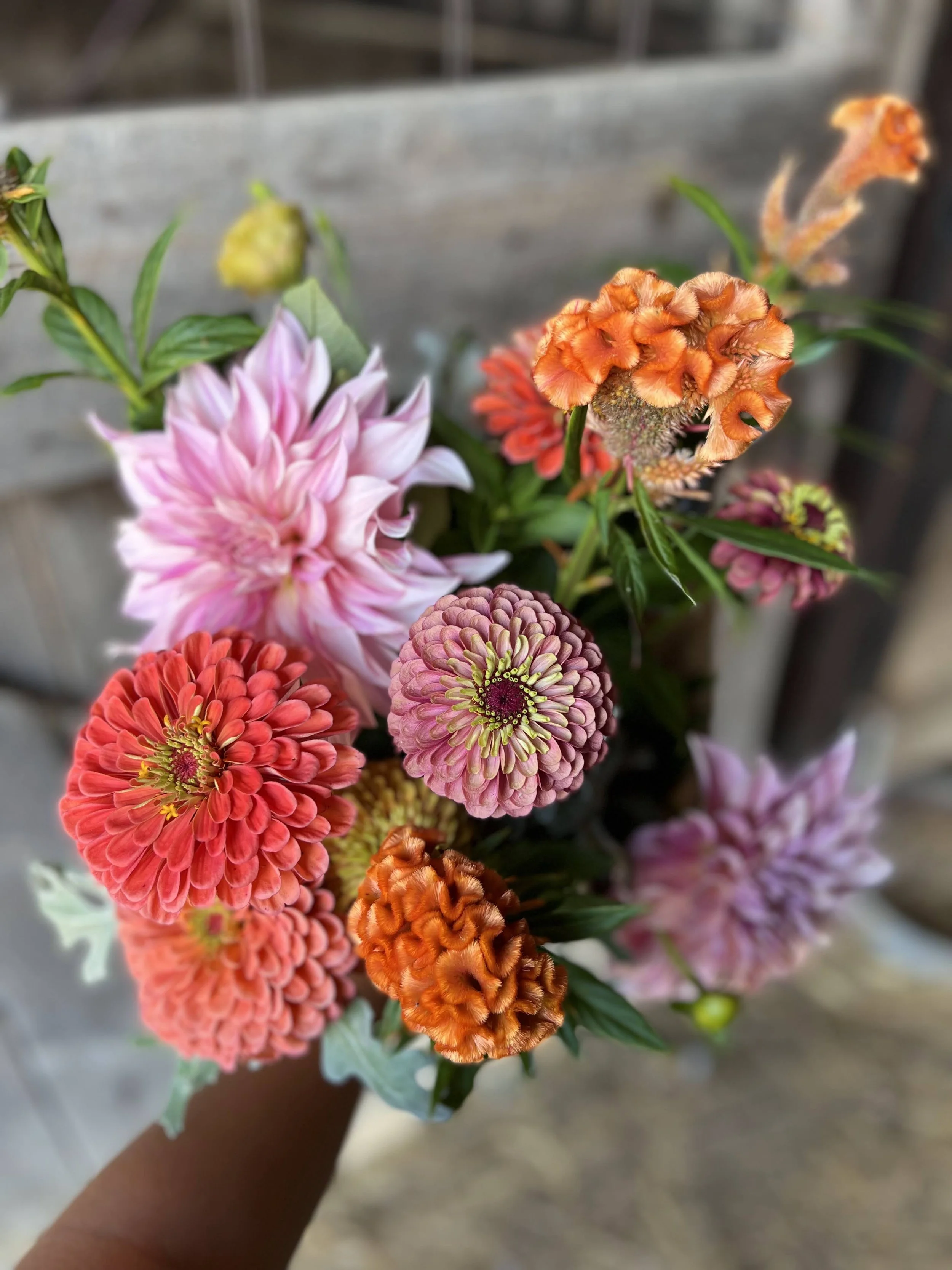 Summer Bouquet Subscription