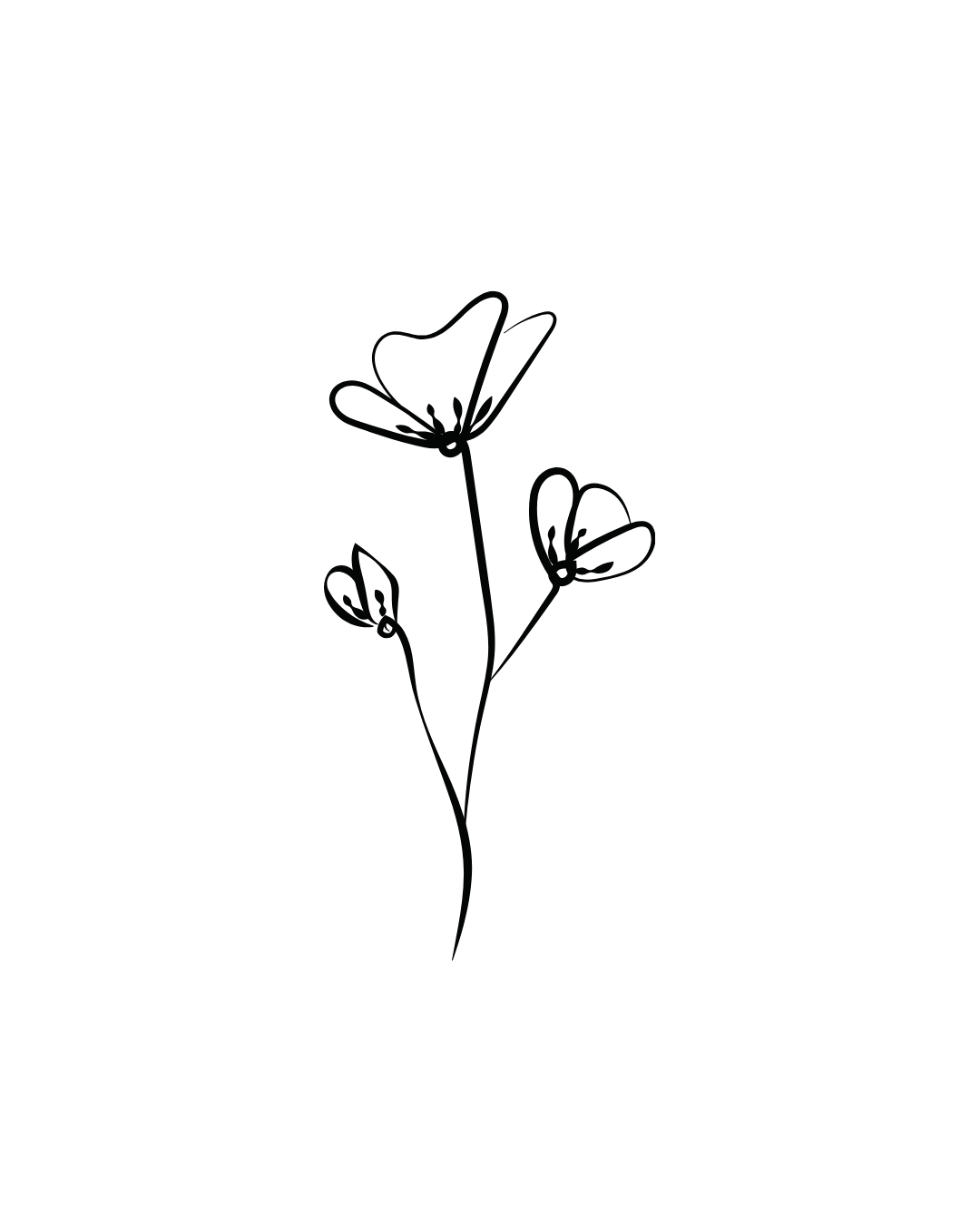 Outline drawing of a small flower with three blooms and a long stem, set against a black background.