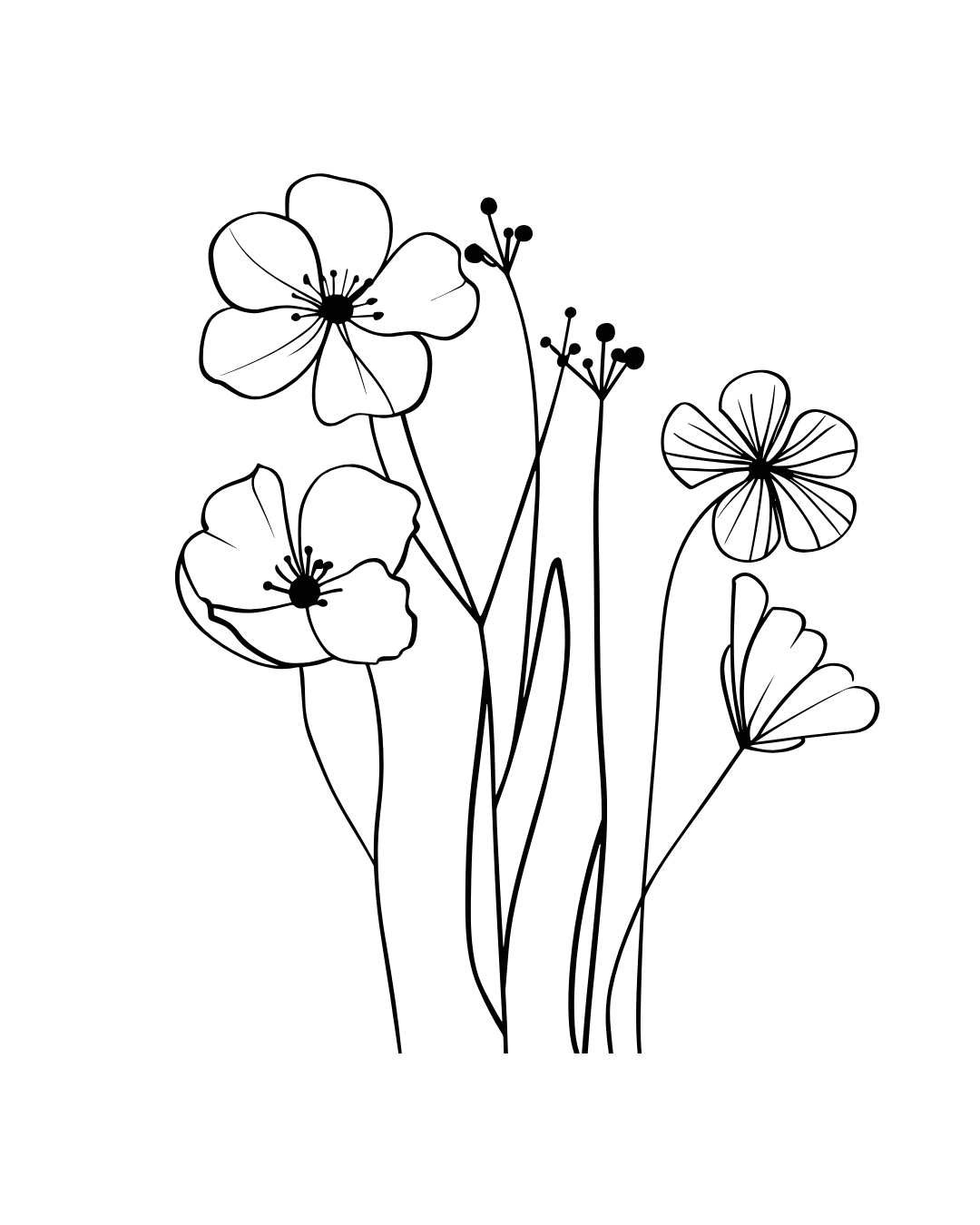 Outline of various flowers with stems and leaves on a black background.