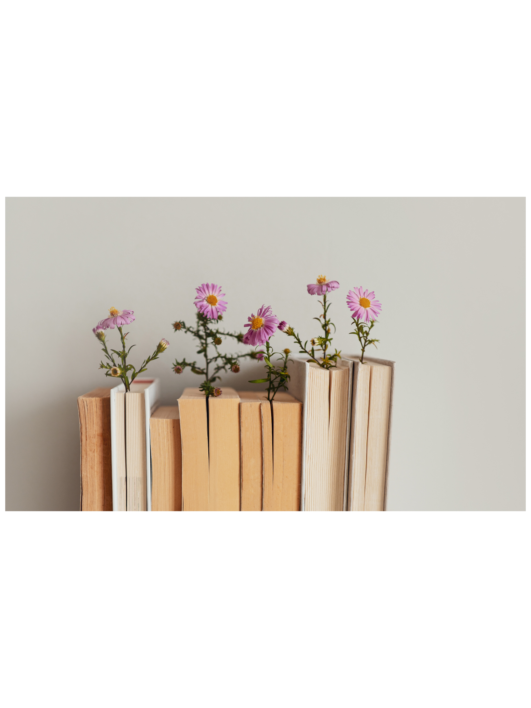 A set of wooden blocks arranged upright with pink and purple flowers planted between them, set against a plain, light-colored background.