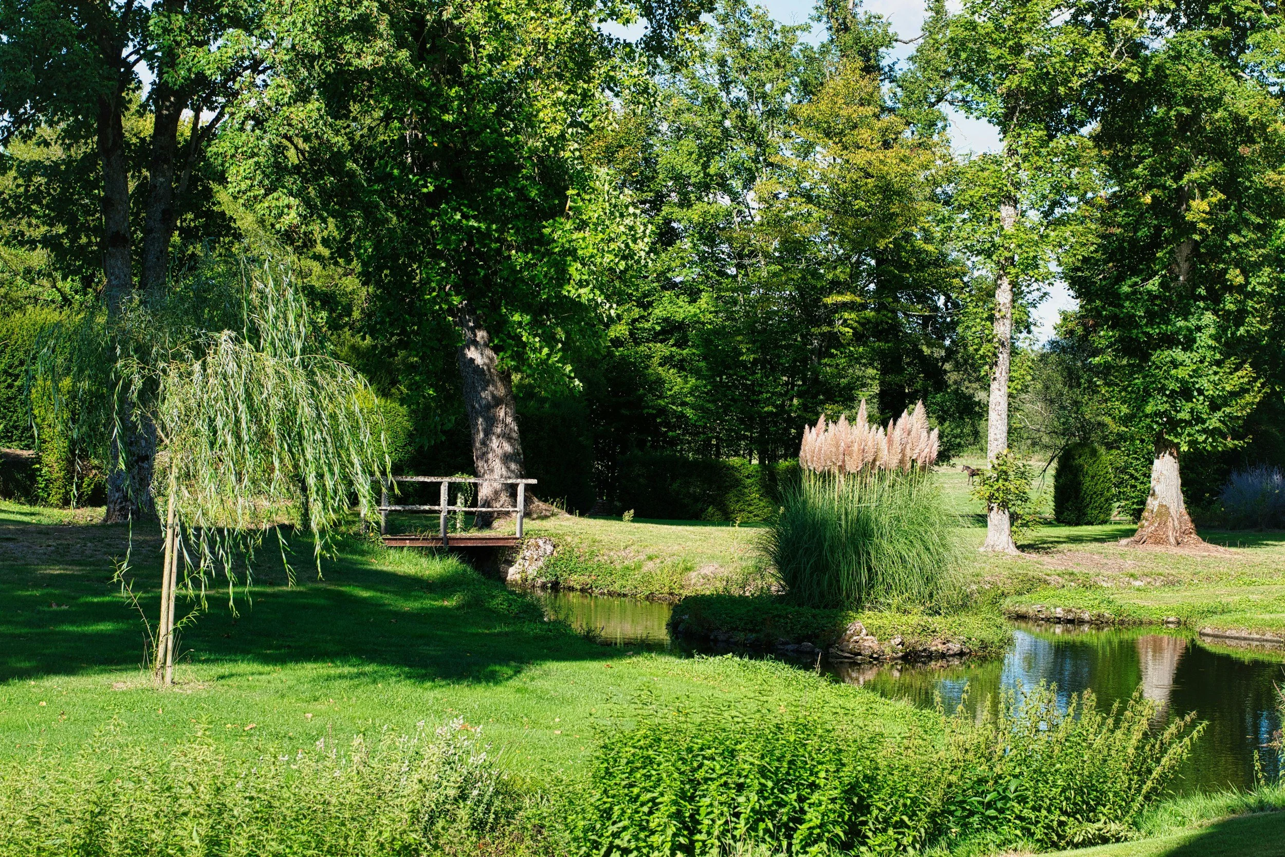A lush green park with tall trees, a small bridge over a stream, and various plants and bushes in the sunlight.
