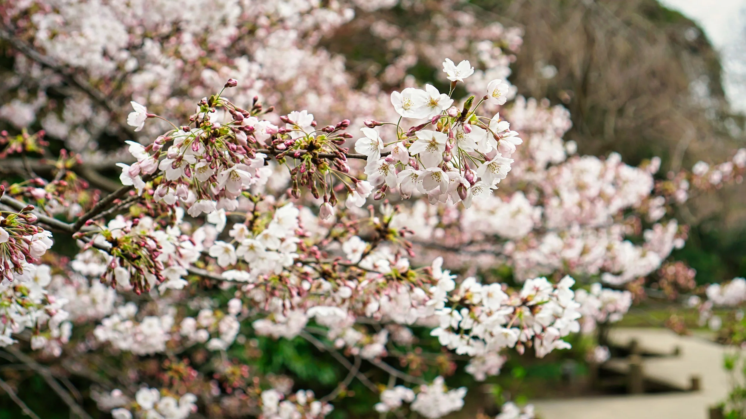 unsplash-image-SaPwIwu11e4.jpg