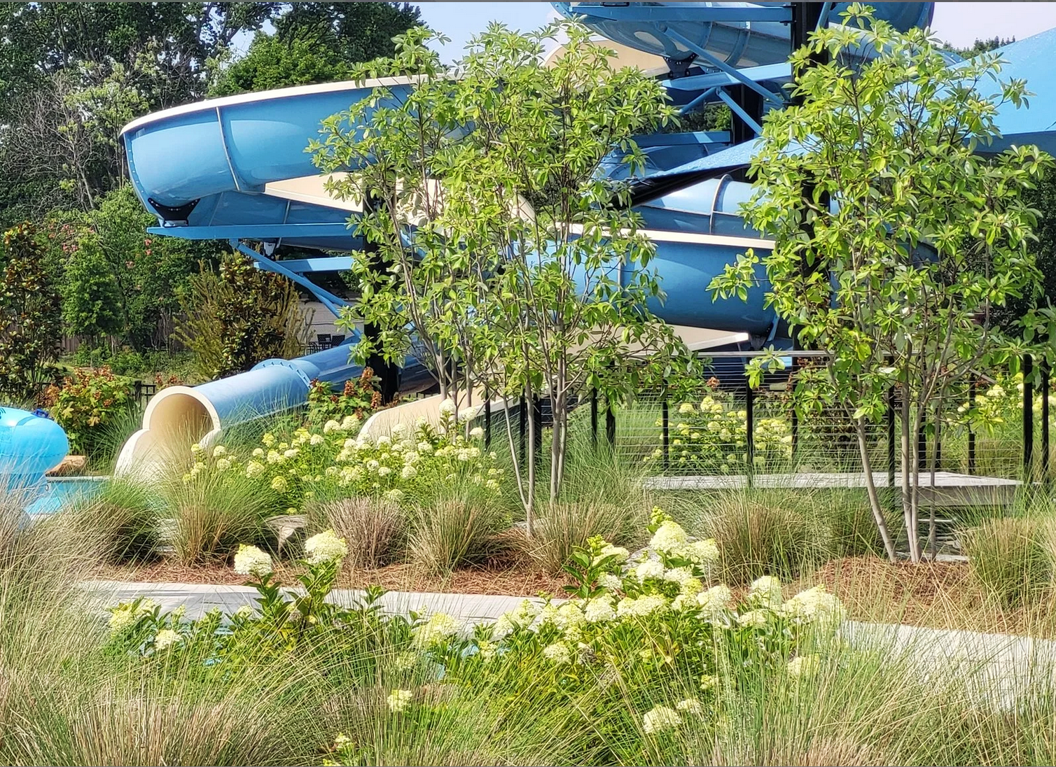 A blue water slide twisting through greenery and trees in a park or water park area.