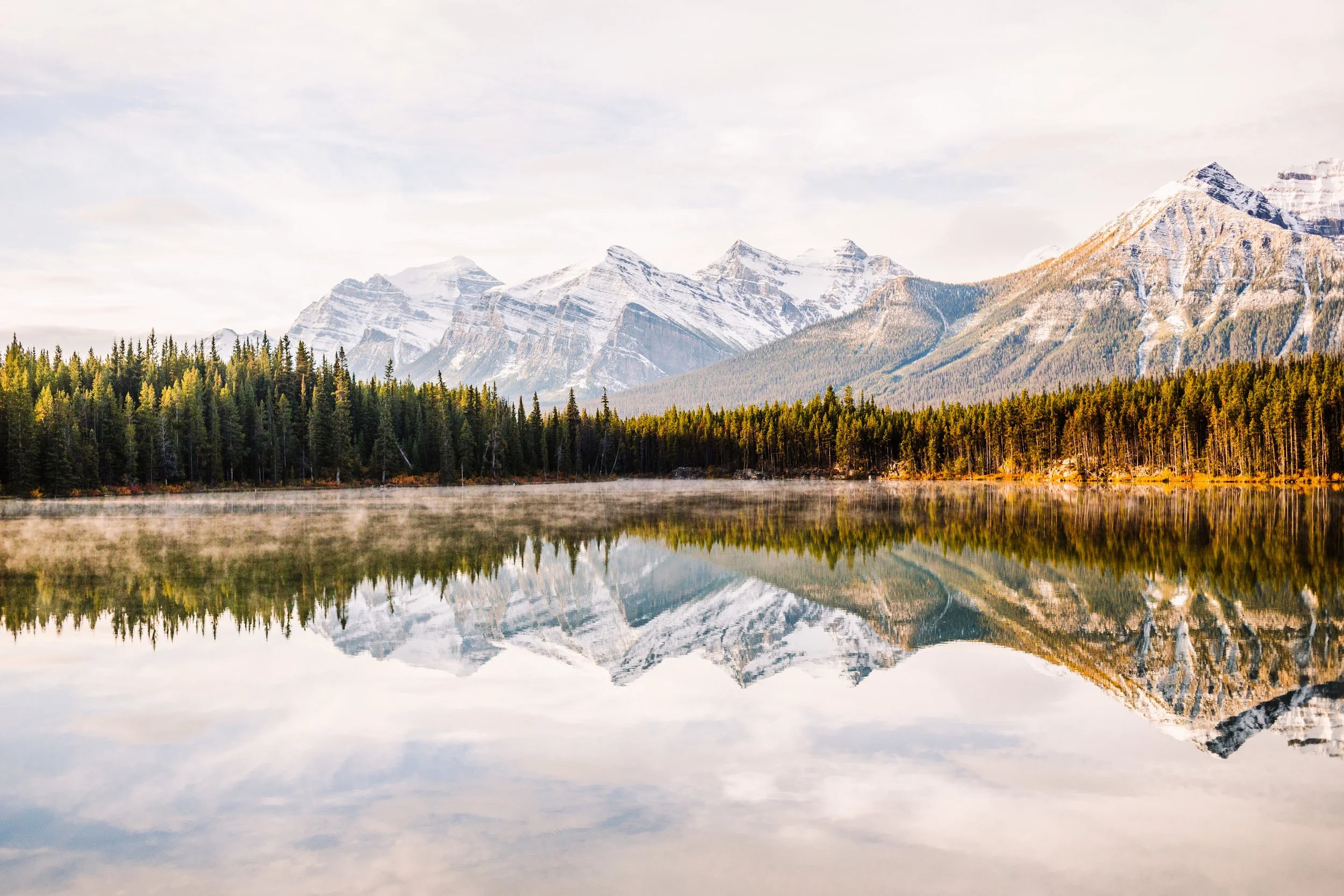 Paradigm Shift in Autism-Spectrum Disorder (ASD) Treatment (July 2019)