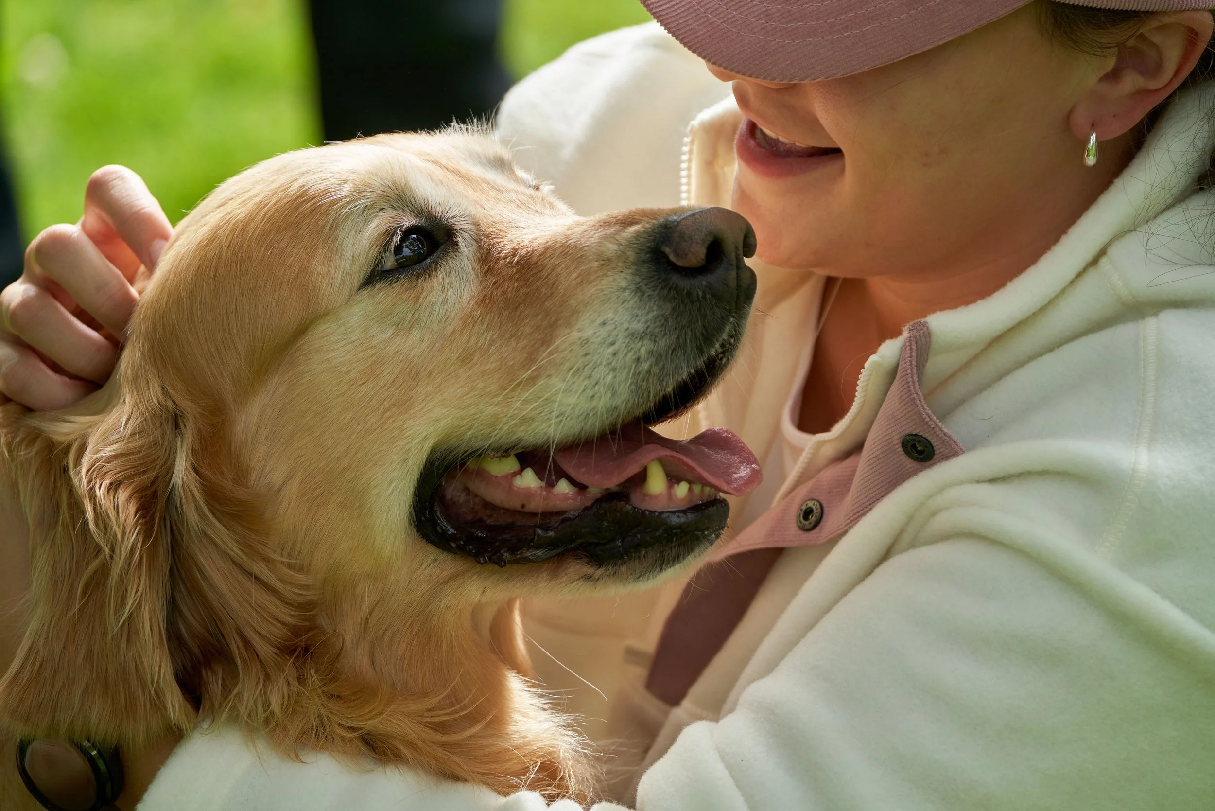 Customized Pet Care