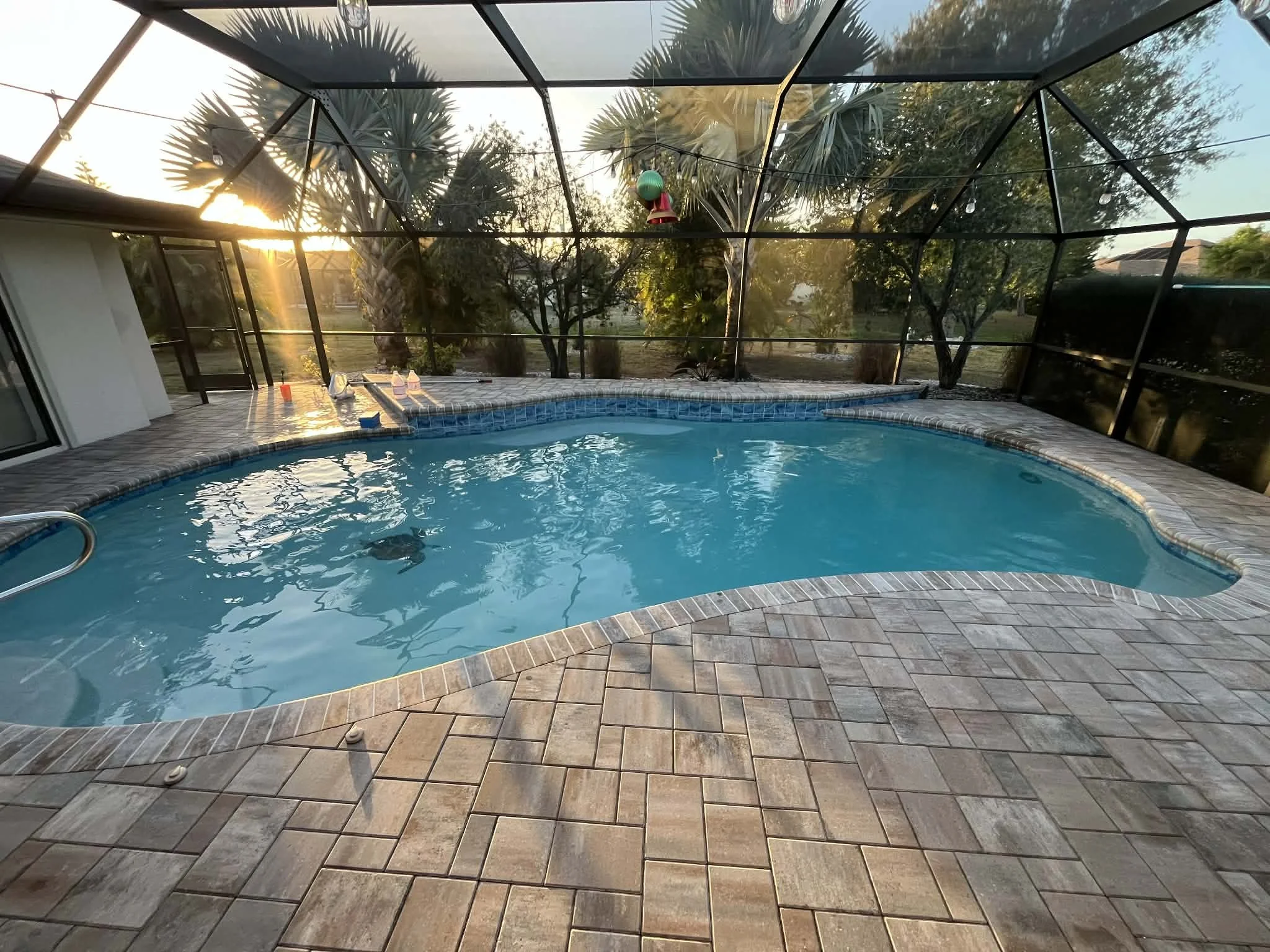 A screened-in backyard pool with blue water, surrounded by stone pavers, with a sunset and trees visible in the background.