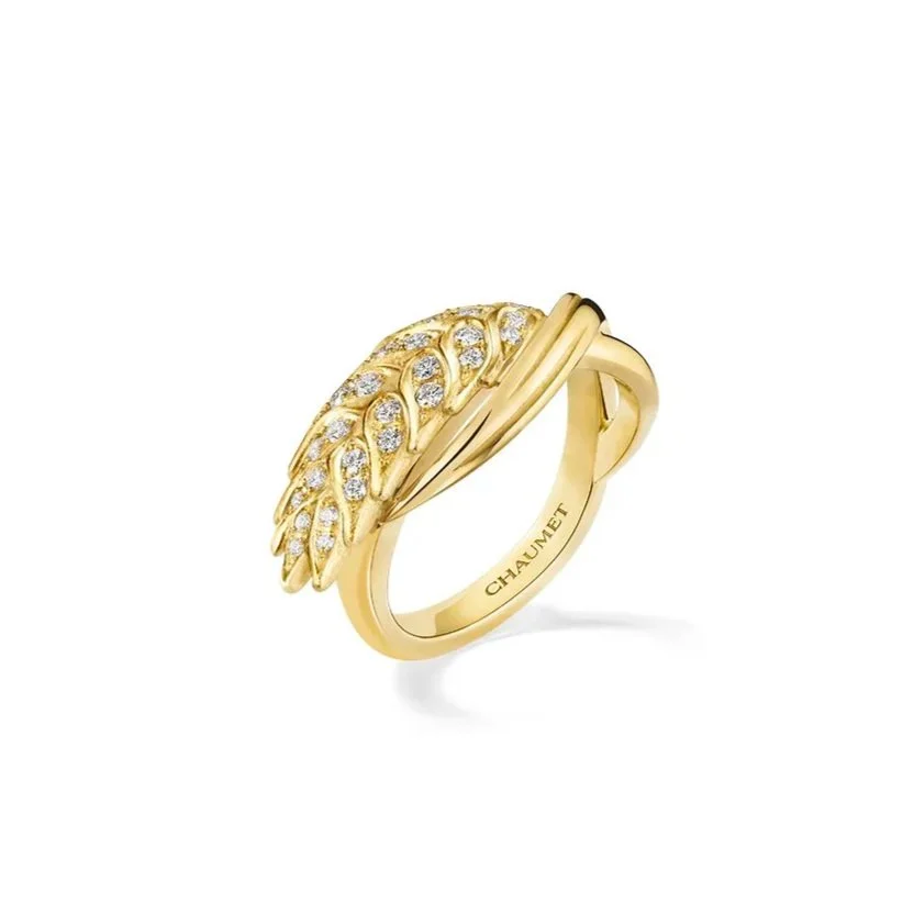 085862_BLE_RING_3Q_RVB.jpg
