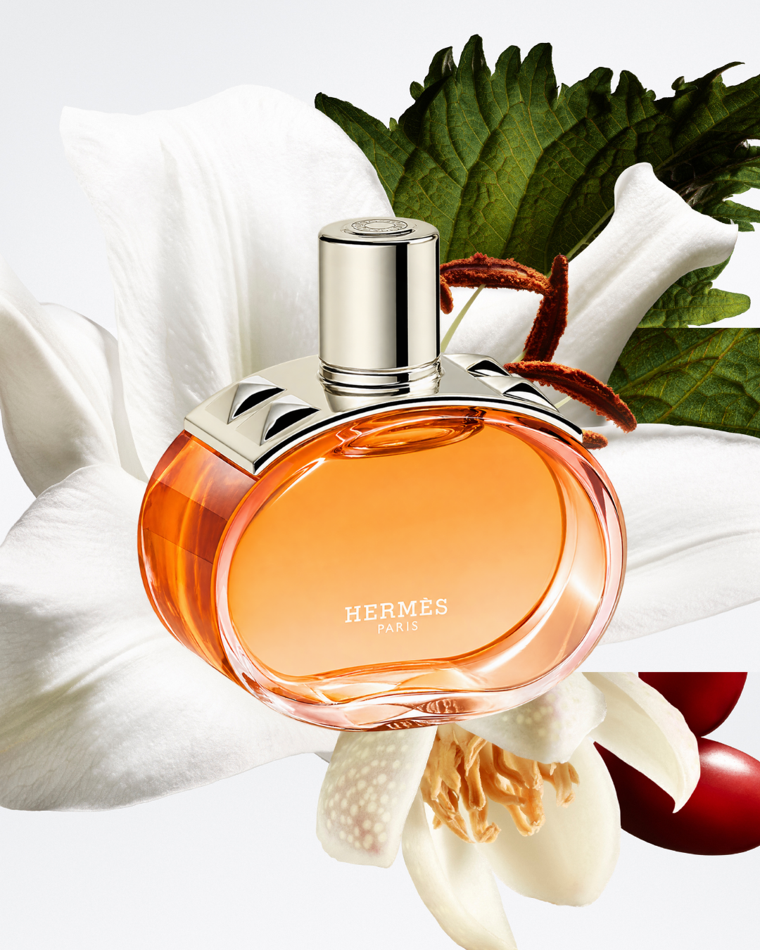 Hermès Barénia Pleine Fleur Is a New Take on the Modern Floral Chypre