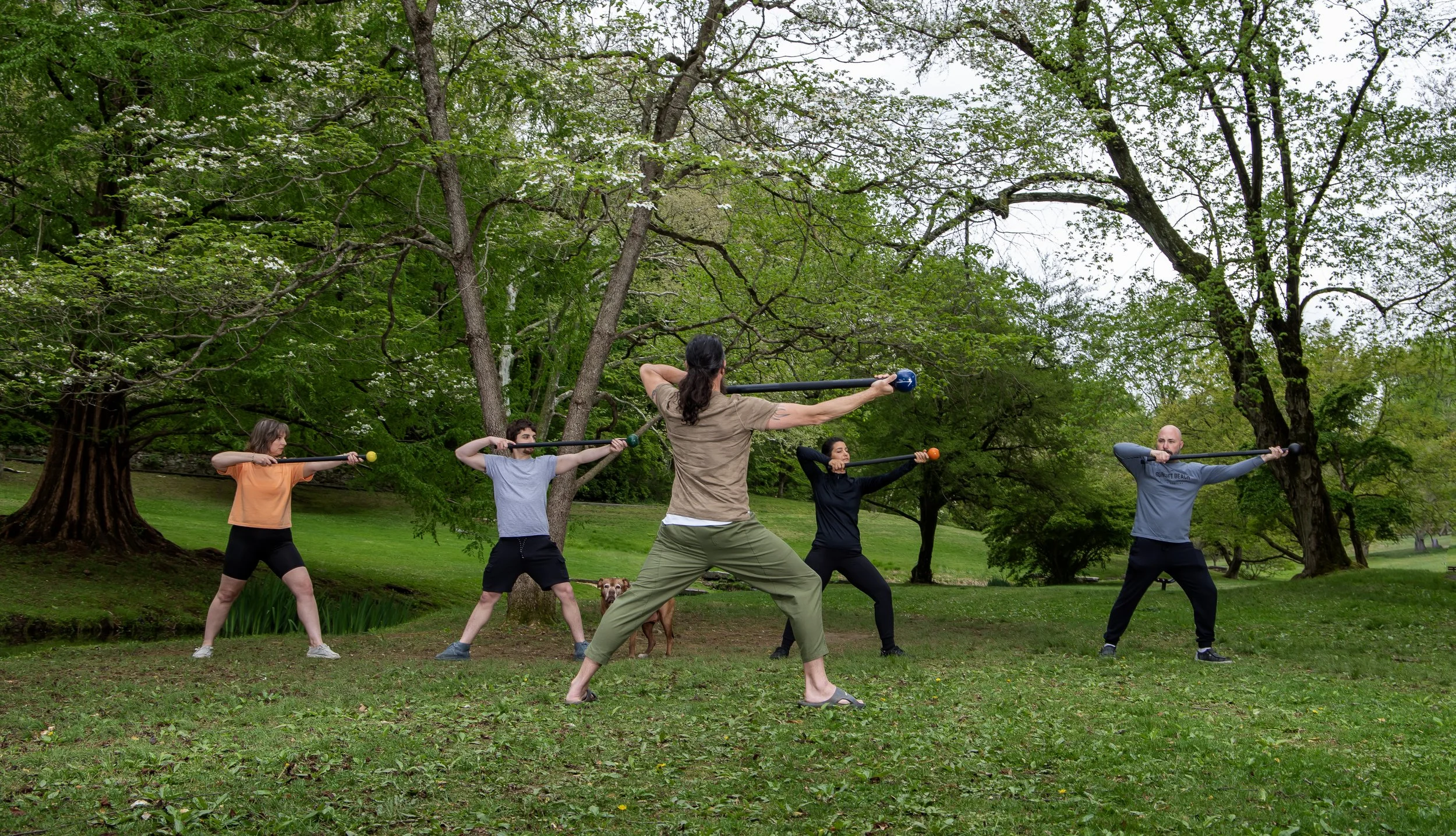 Group of five people practicing outdoor yoga with colored sticks in a park with large trees and green grass.