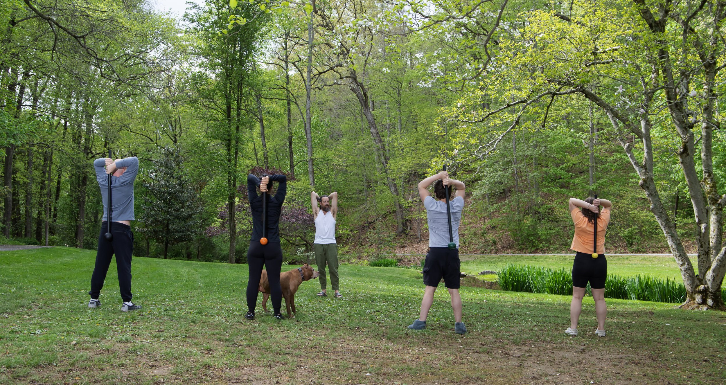 Mace Group training.JPG