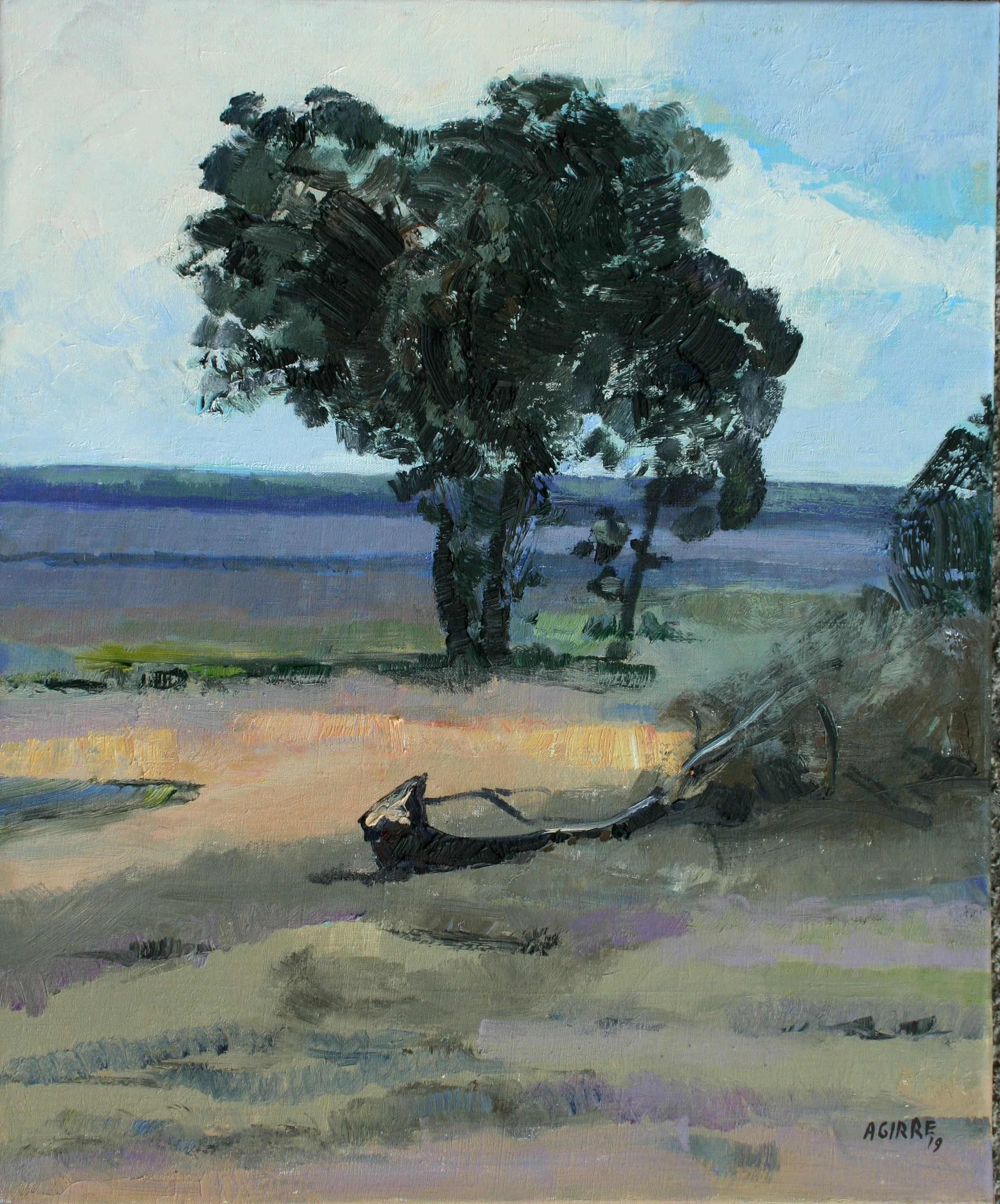 71 Zuhaitza 65x54 2019.jpg