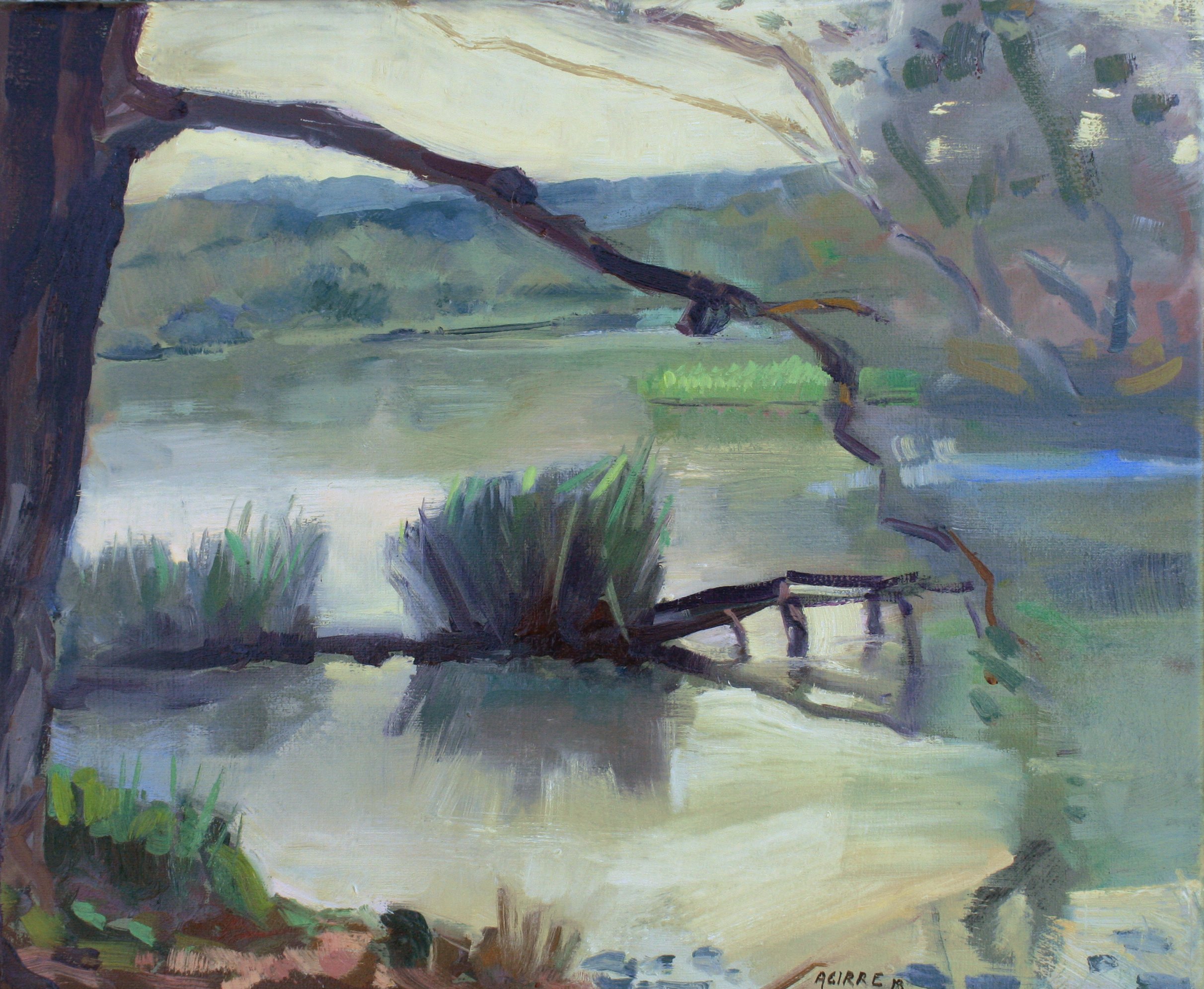 1 aintzira 38x46 2019.jpg