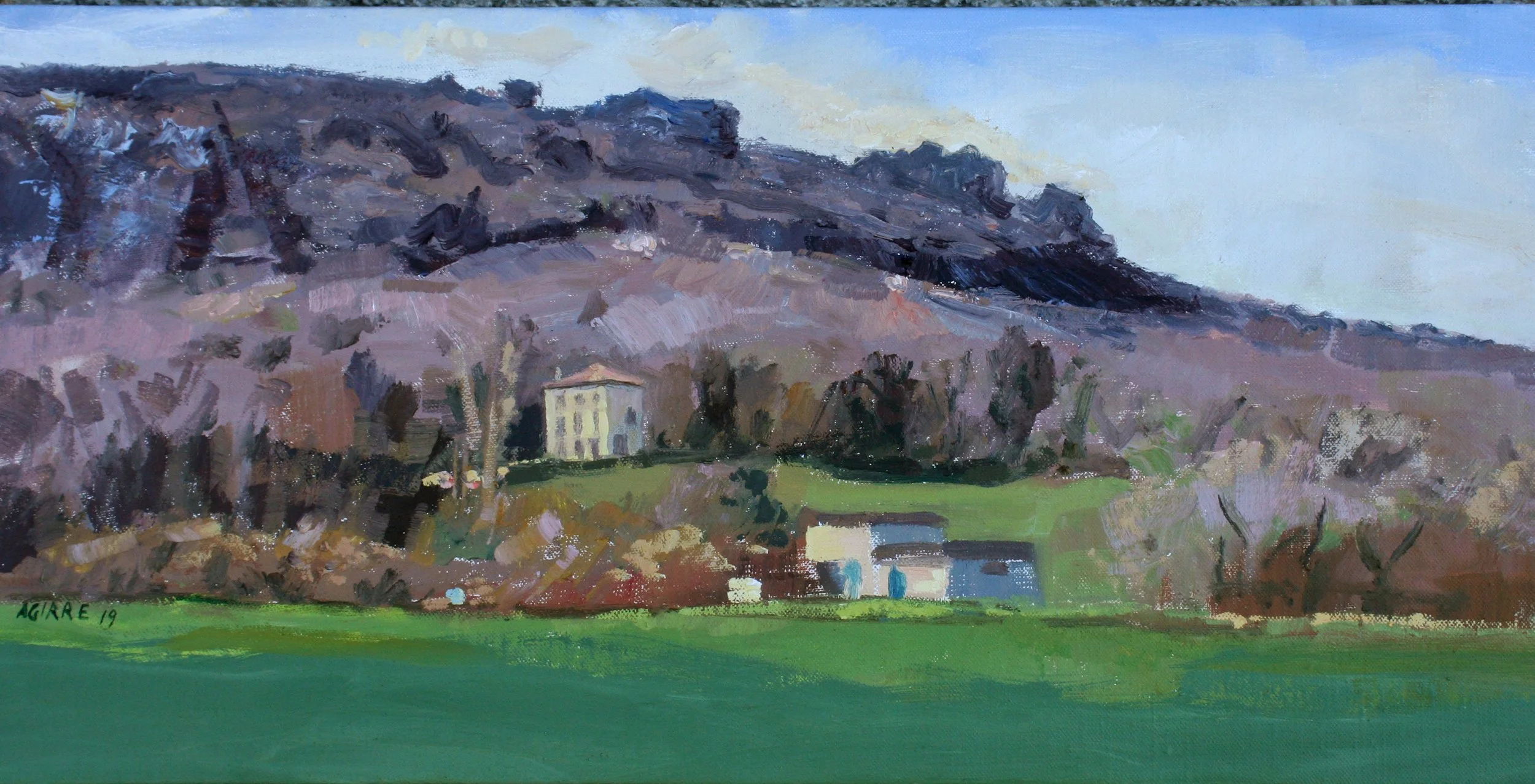 42 paisaje de la Sakana 30x60 2019.jpg