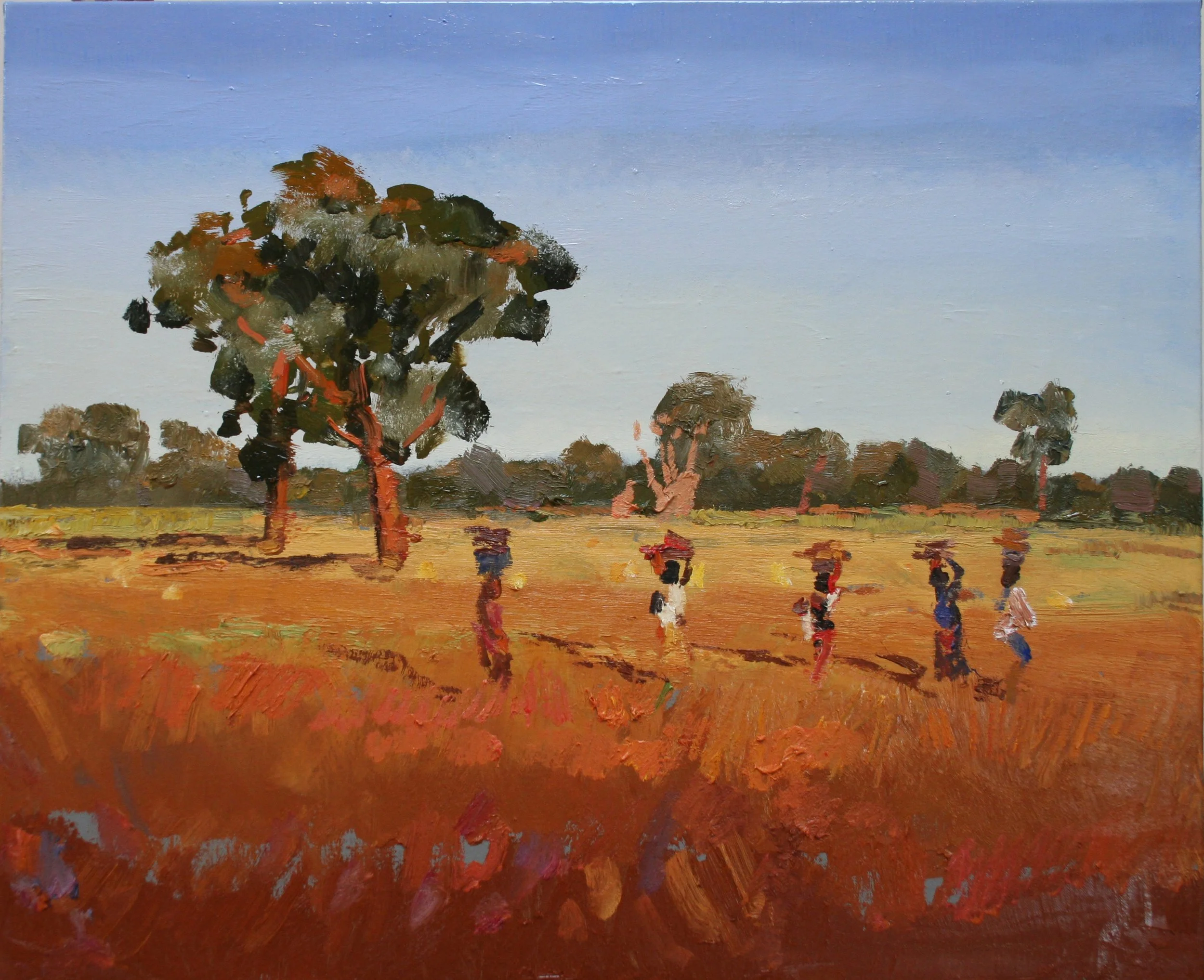 14 Paisaje de Mali  2010.jpg