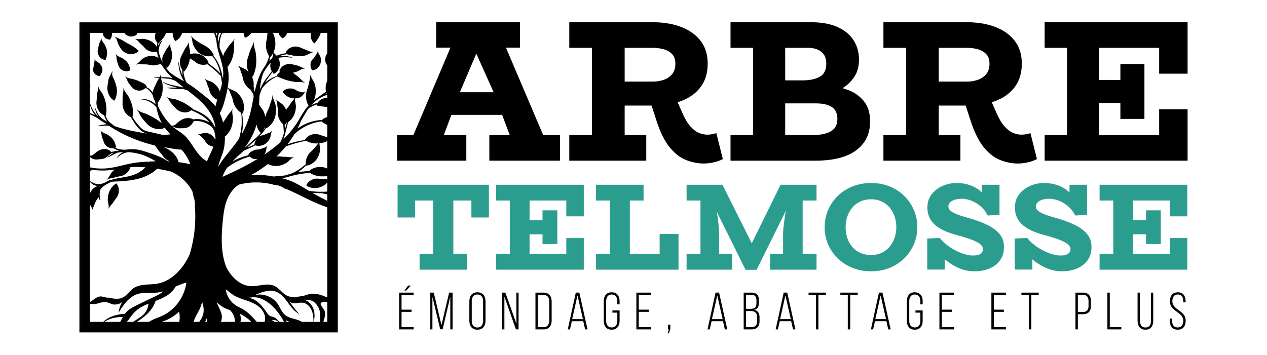 Logo de l'entreprise ARBRE TELMOSSE avec un arbre stylisé et le nom en texte, en français.