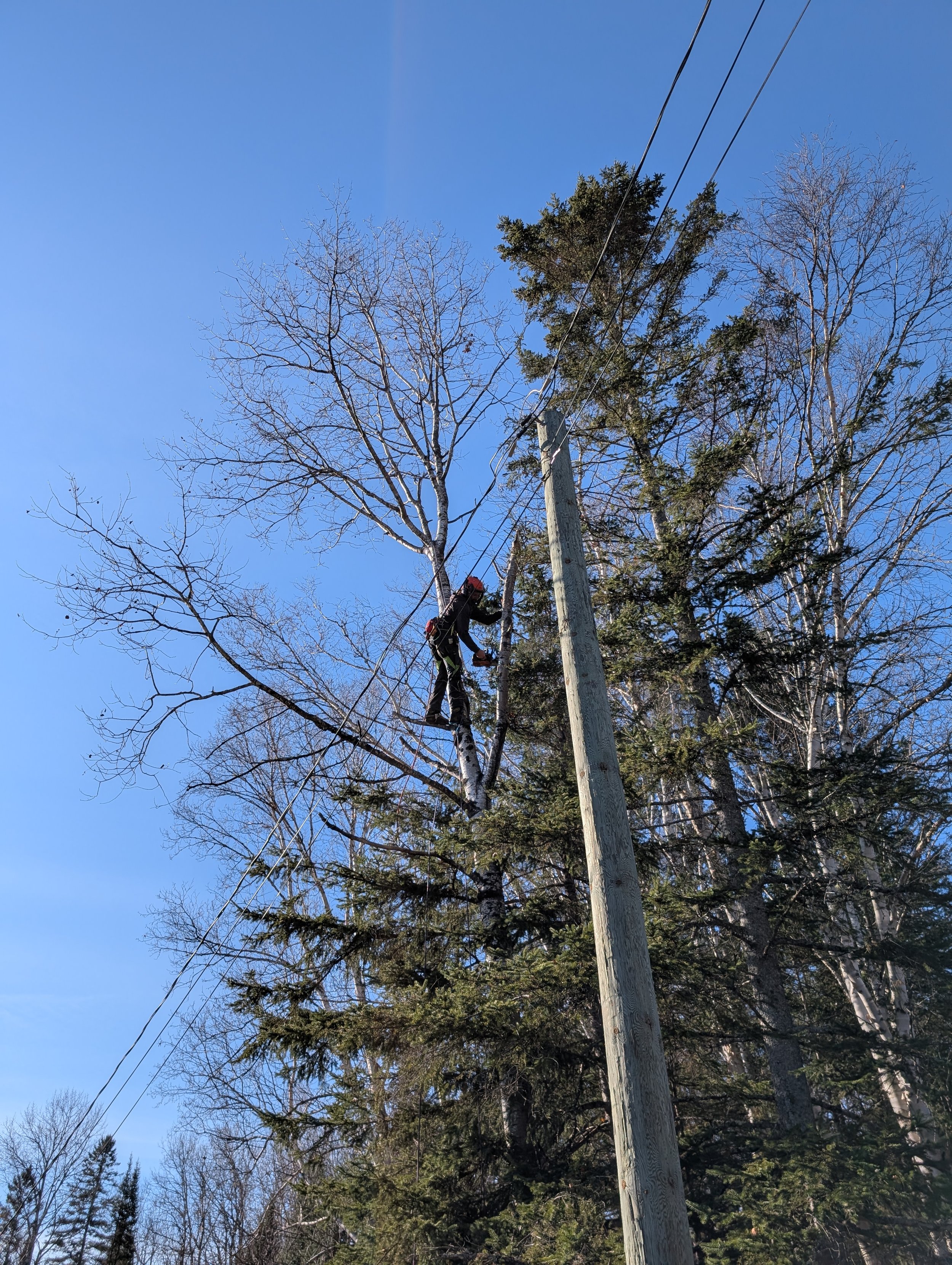Dégagement de fils électrique à Sainte-Véronique