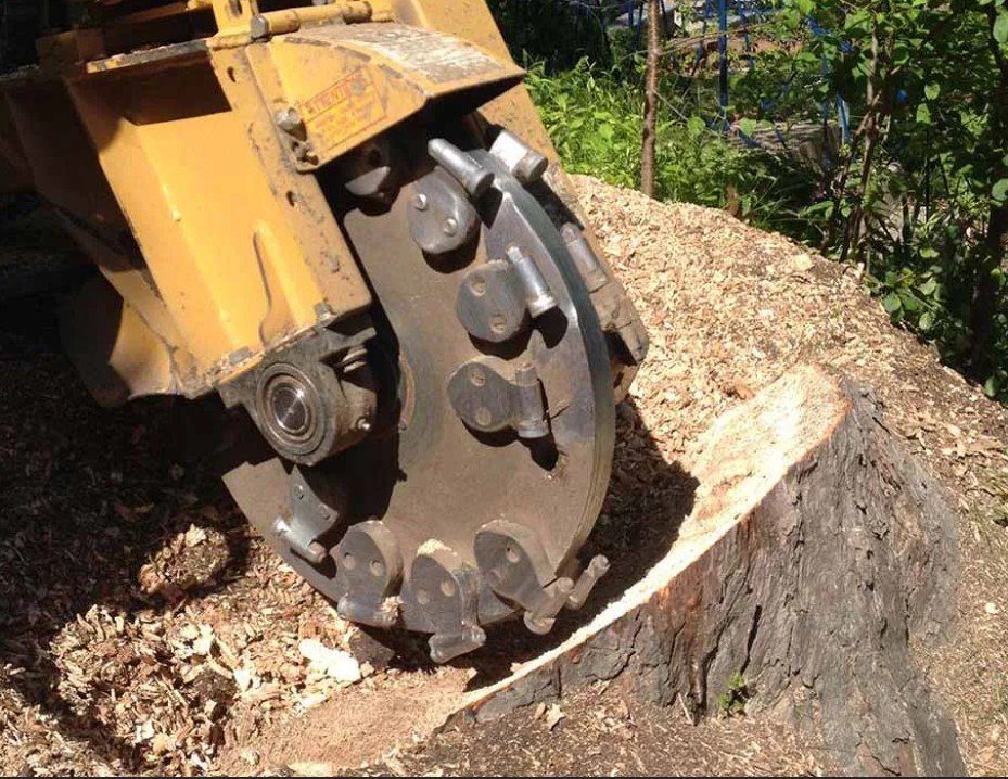 Retrait d'une souche suite à l'abattage d'un arbres dans la court arrière d'une propriété dans les  Laurentides